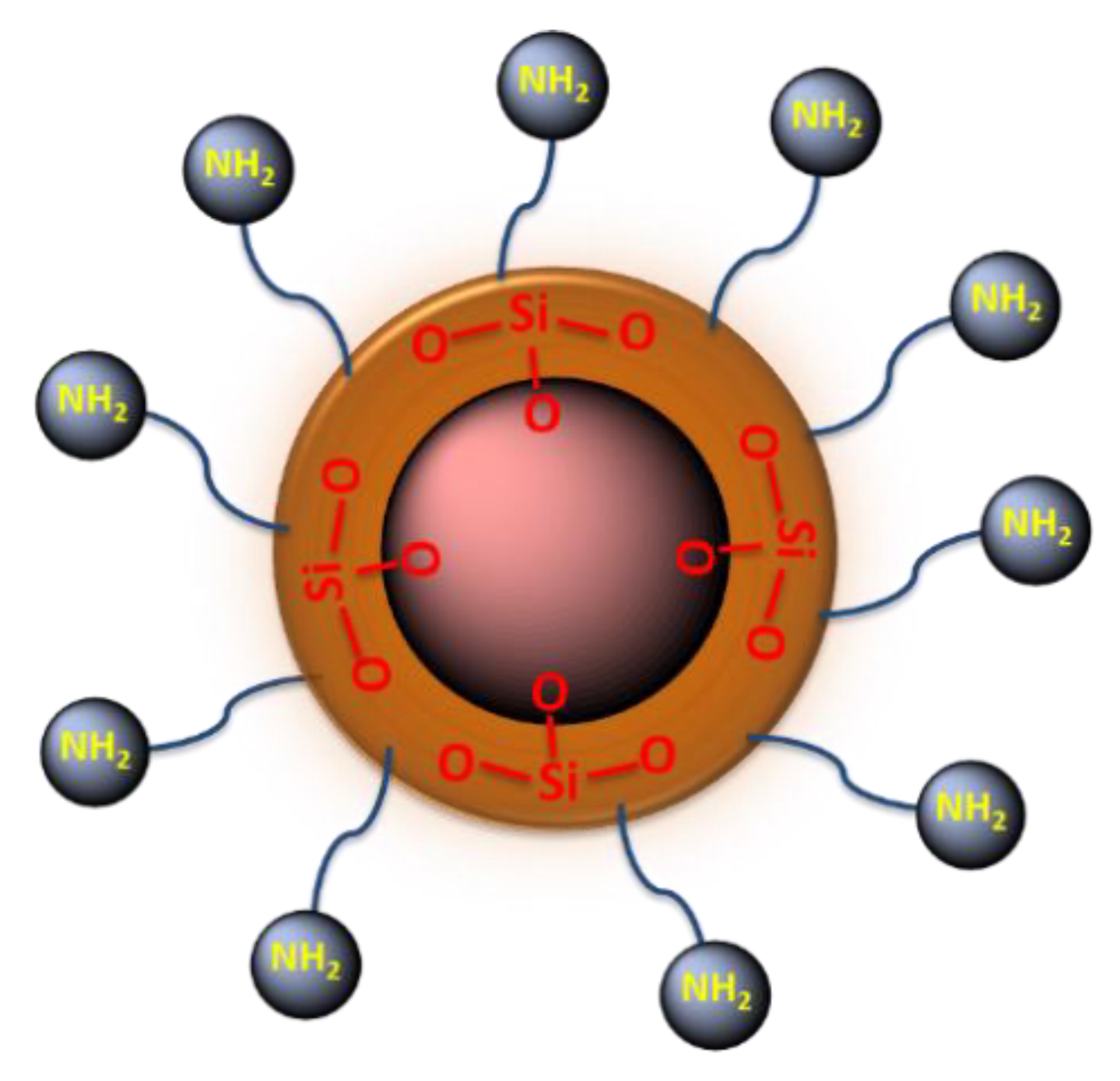 Catalysts 09 00995 g009