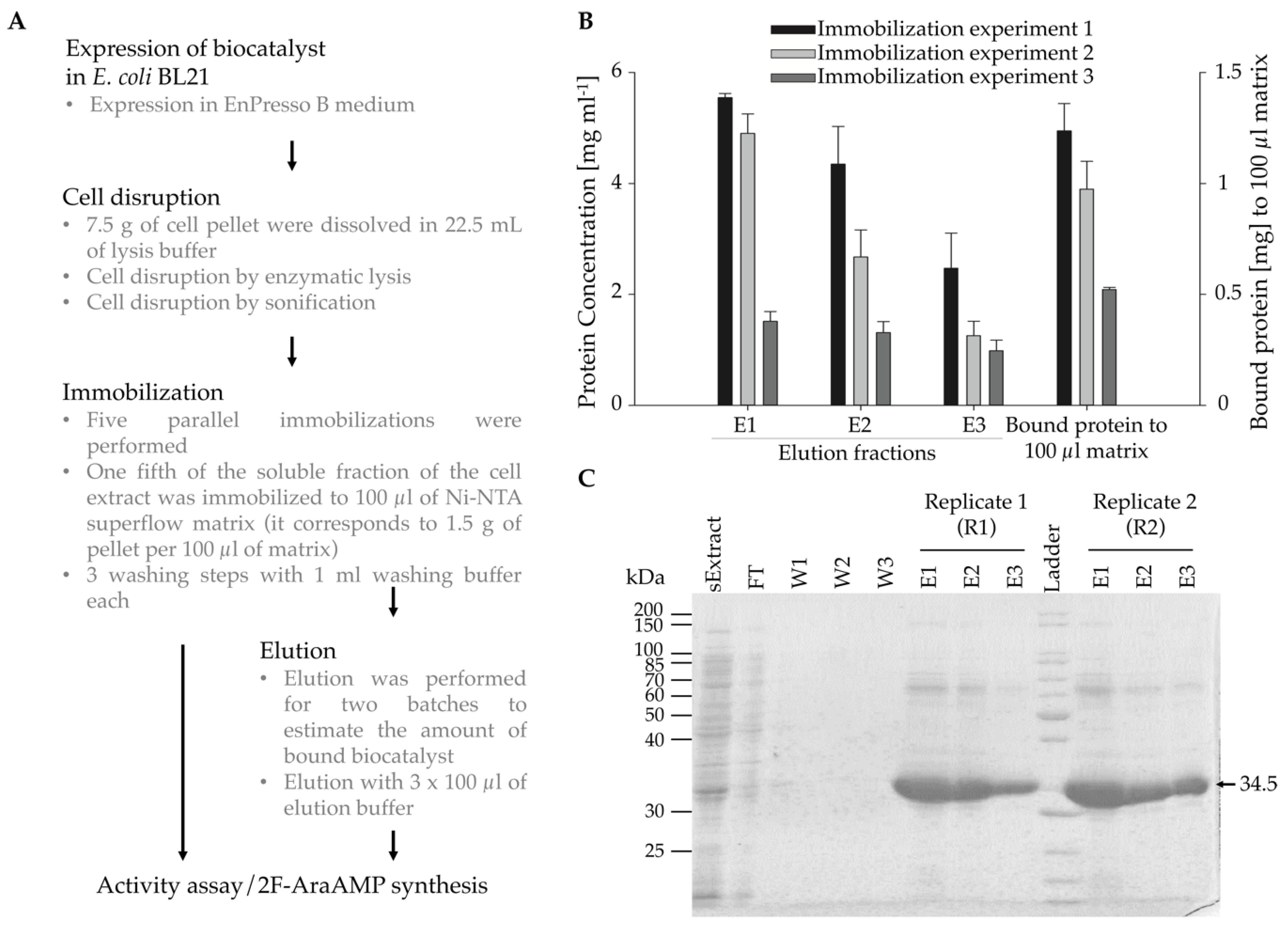 Catalysts 09 00997 g001