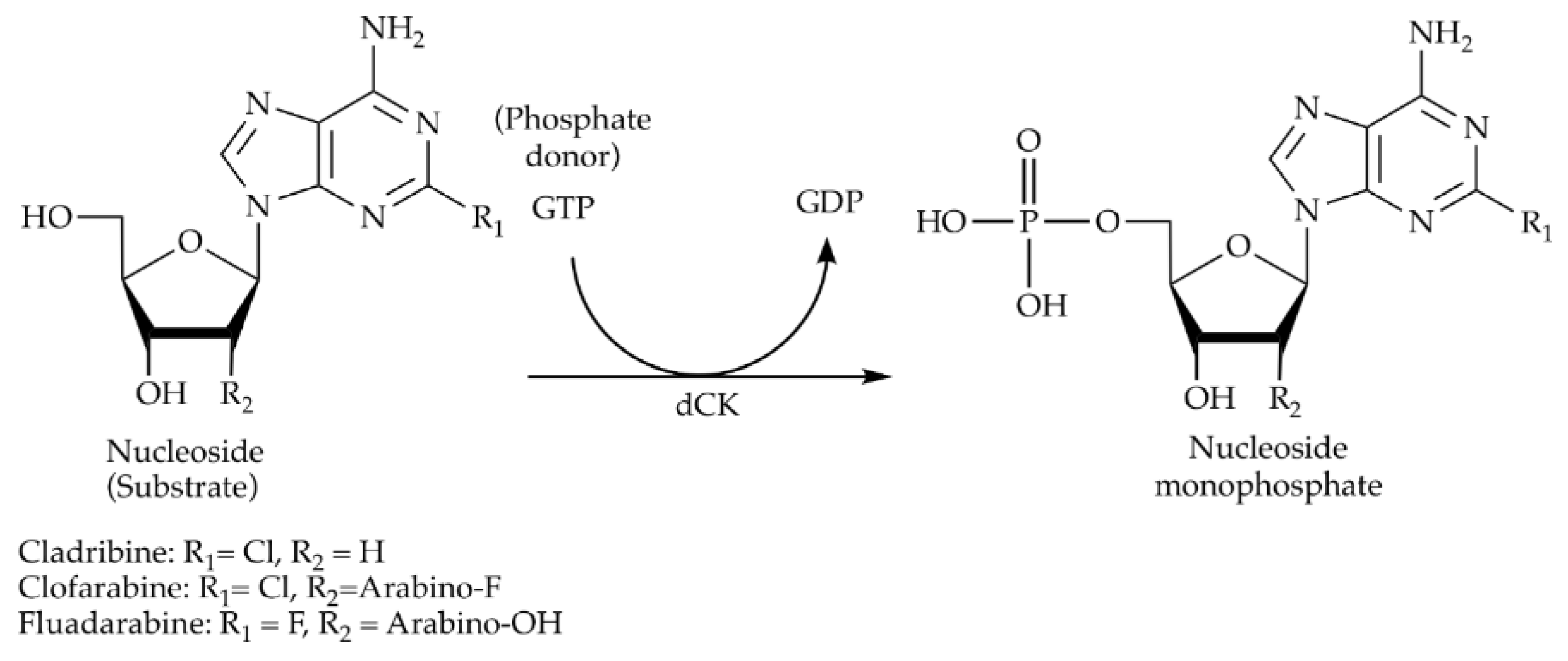 Catalysts 09 00997 sch002