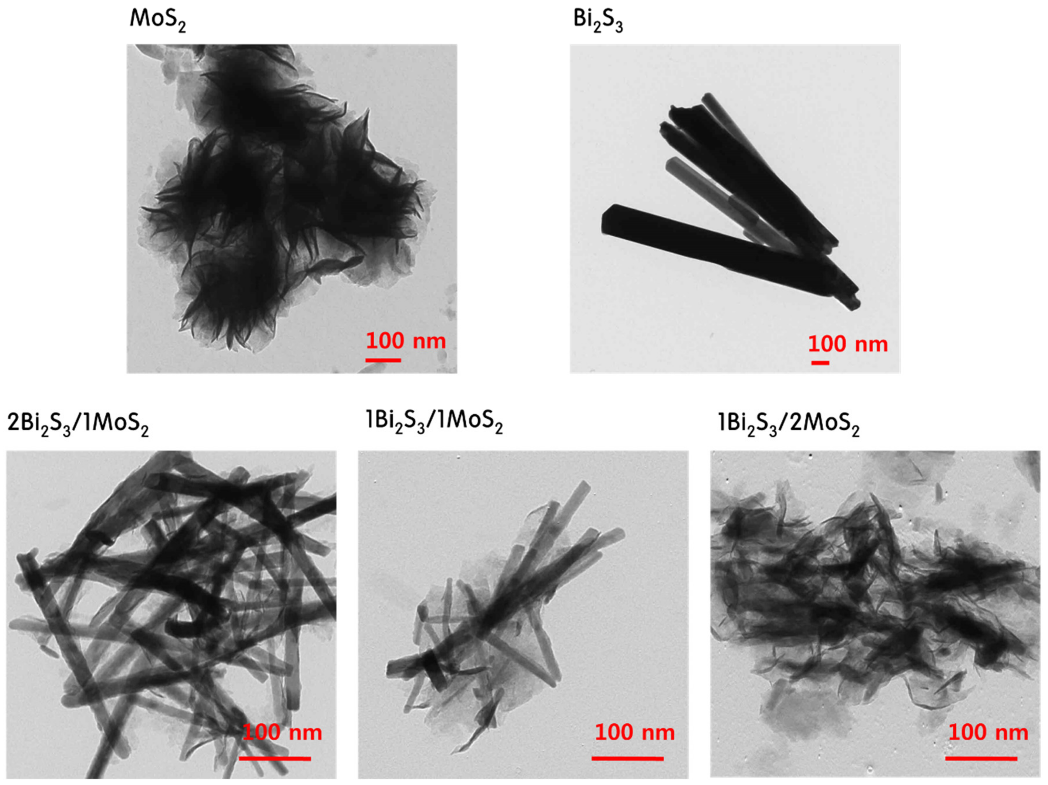 Catalysts 09 00998 g002
