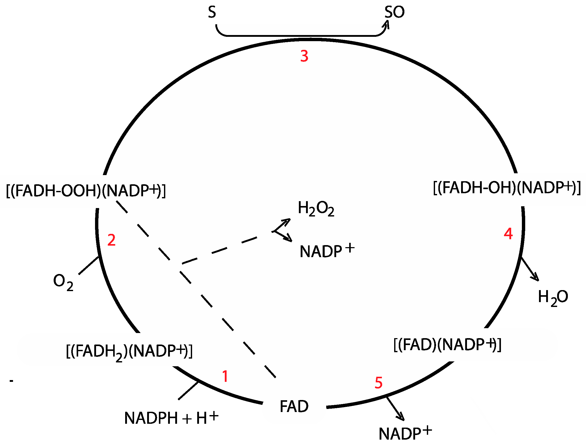 Catalysts 09 01001 g001