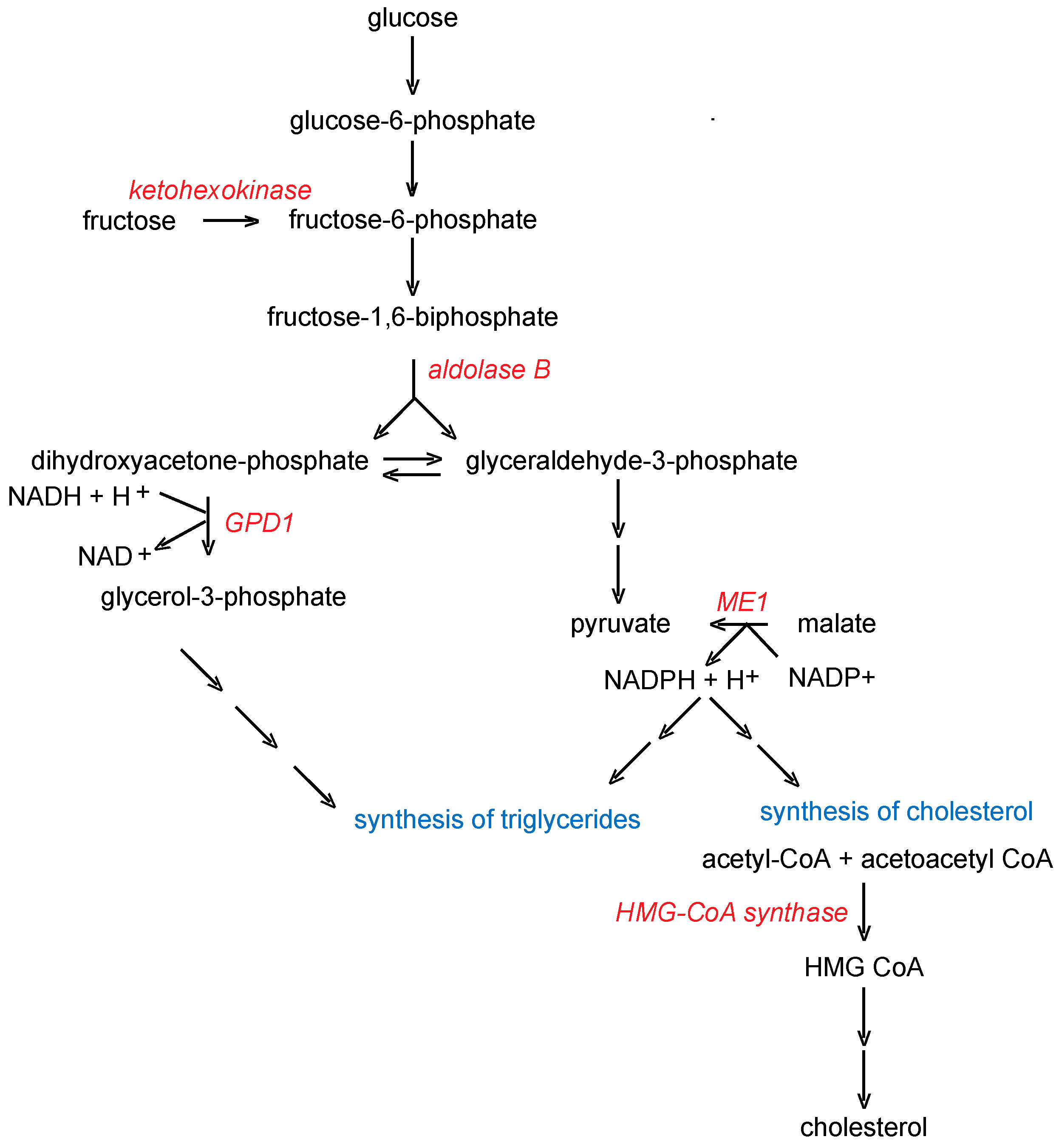 Catalysts 09 01001 g003