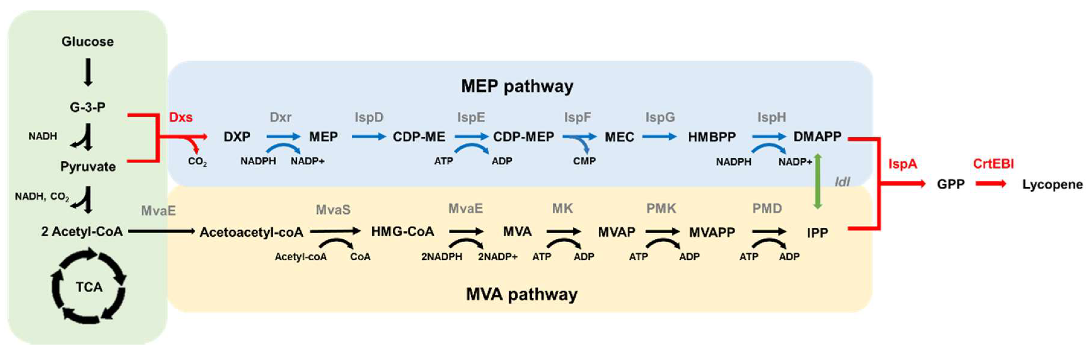 Catalysts 09 01003 g001