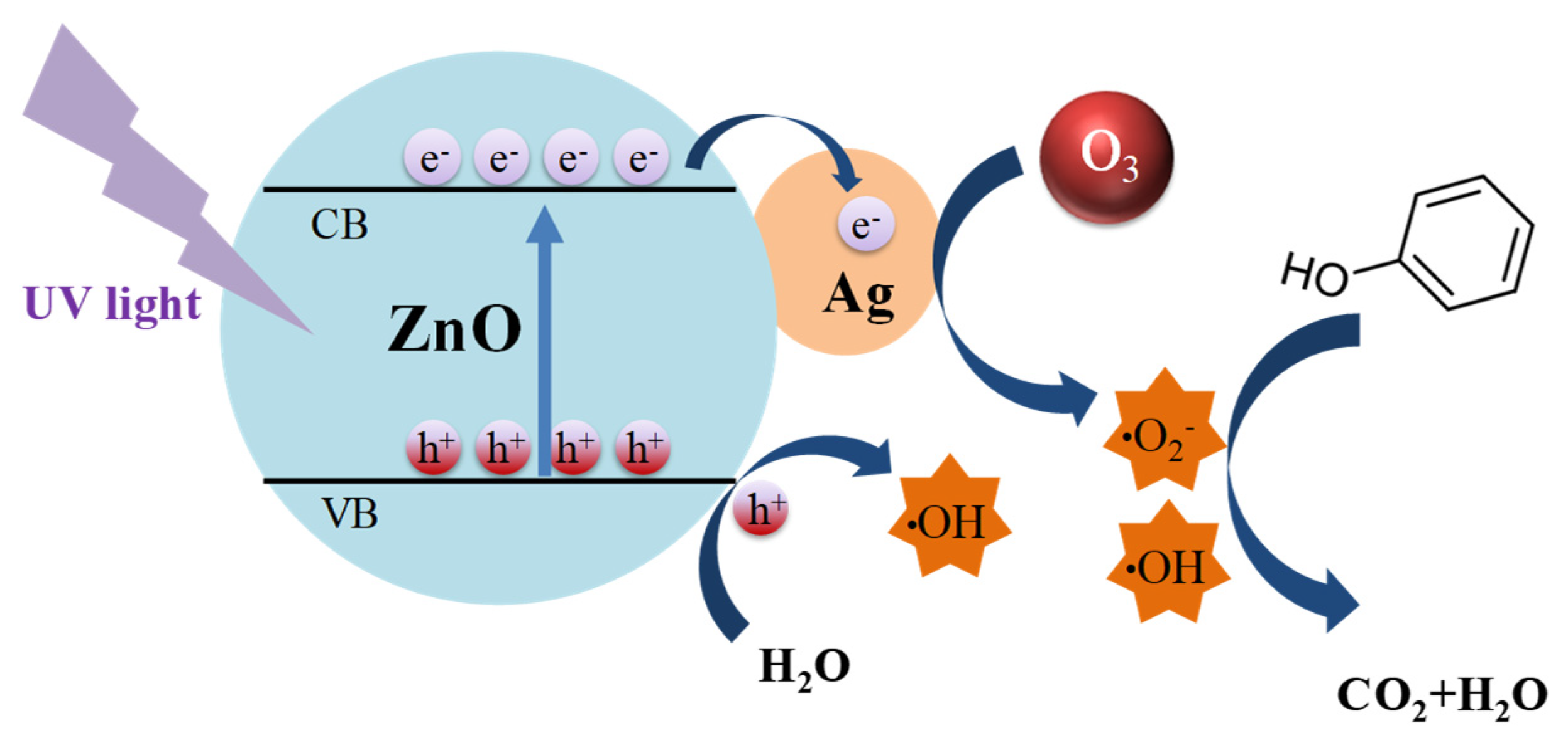 Catalysts 09 01006 g010