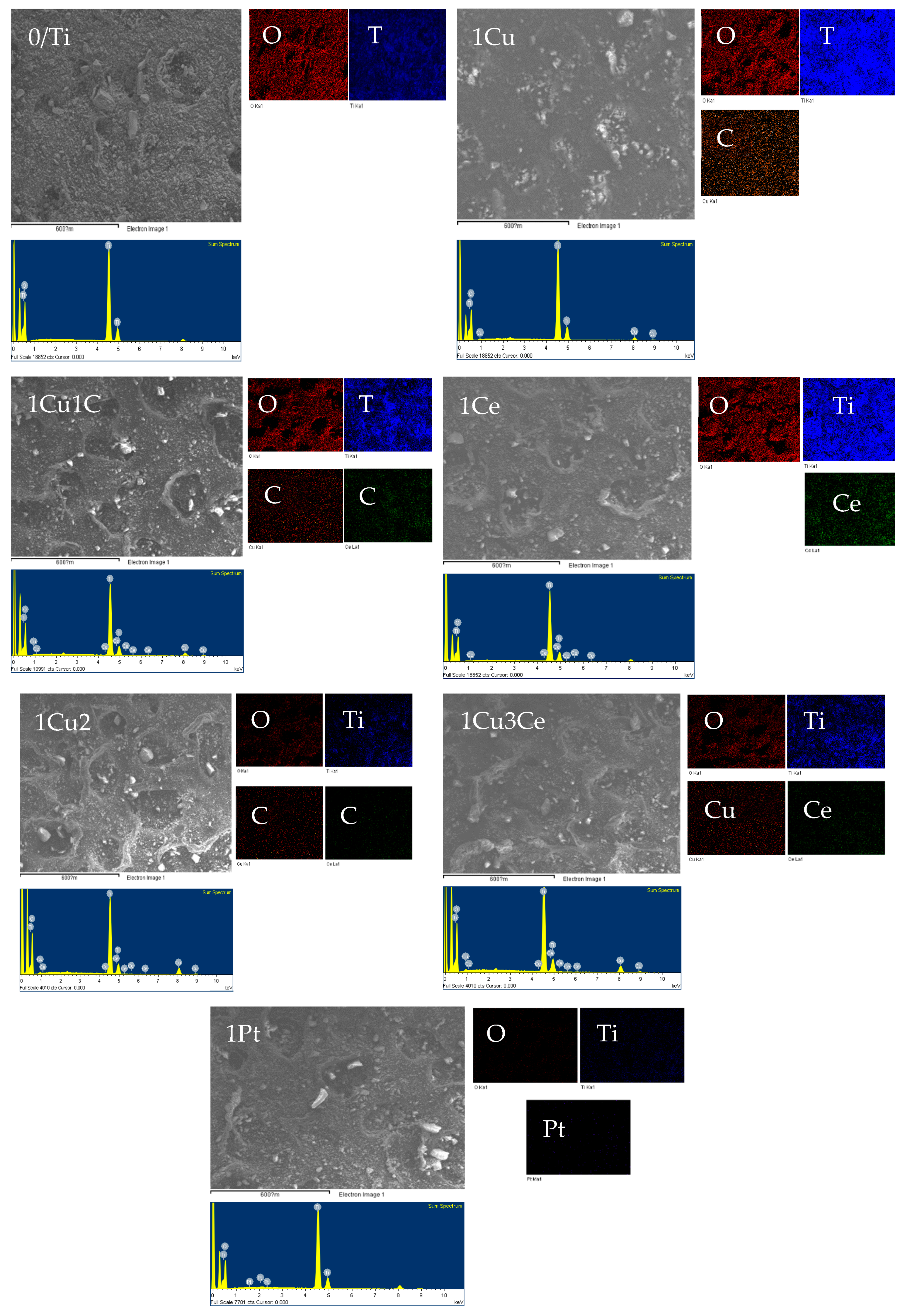 Catalysts 09 01010 g002