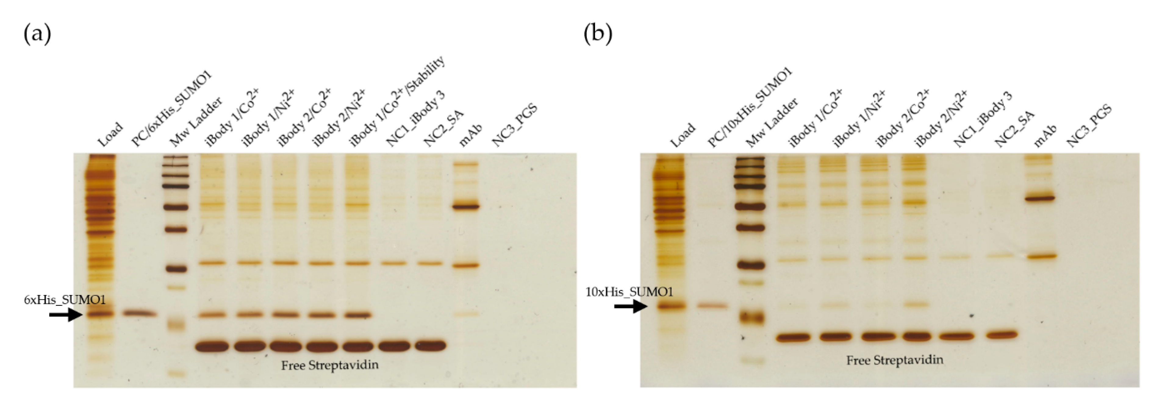 Catalysts 09 01011 g003
