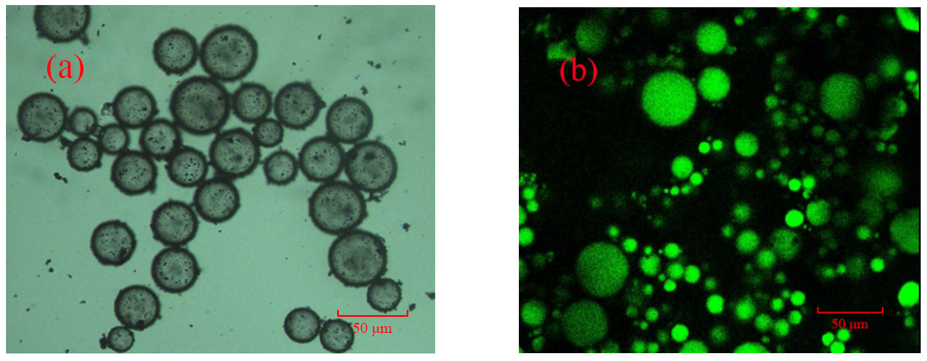 Catalysts 09 01026 g004