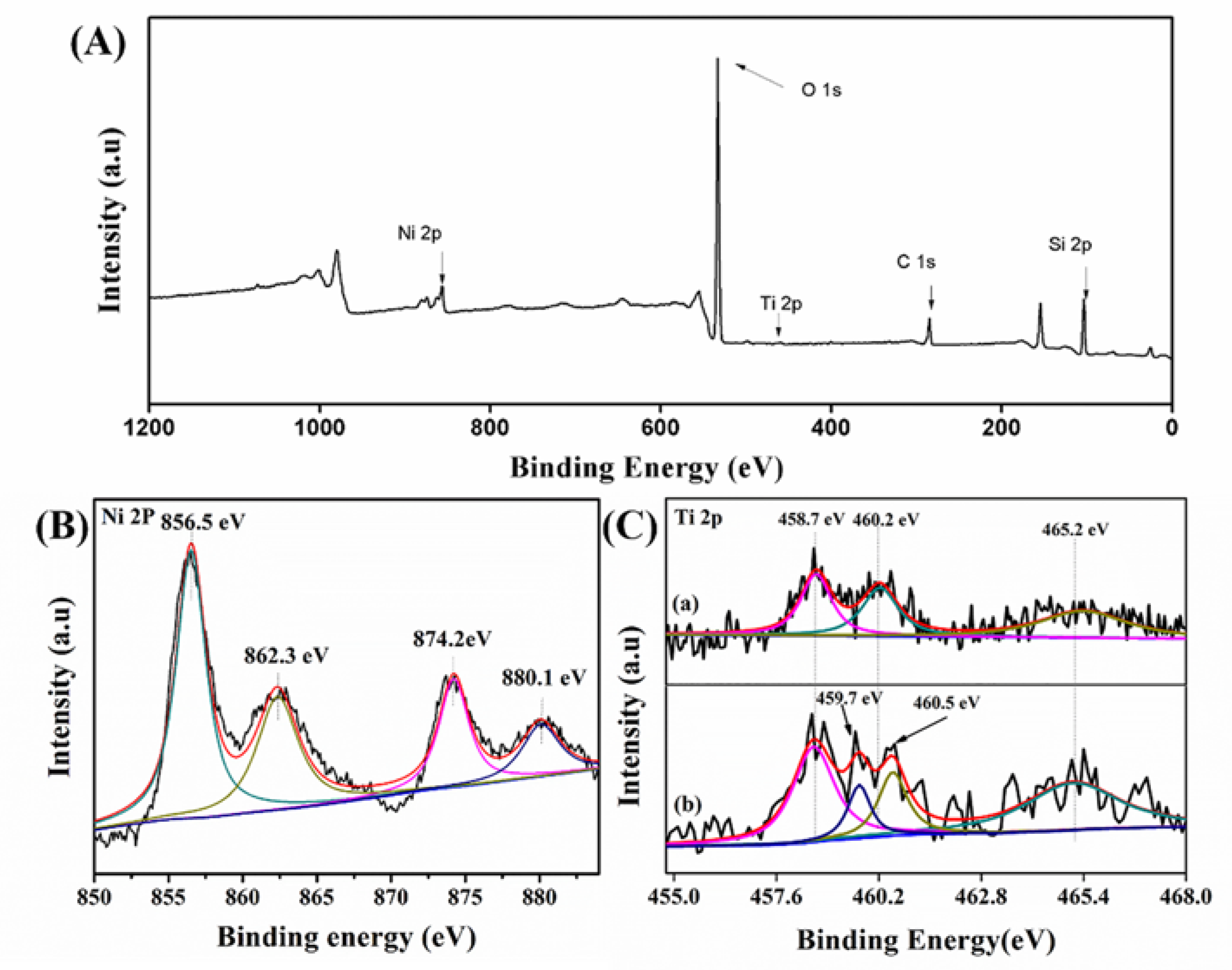 Catalysts 09 01027 g006 Catalysts 09 01027 g006