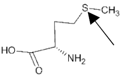 Catalysts 09 01028 i003