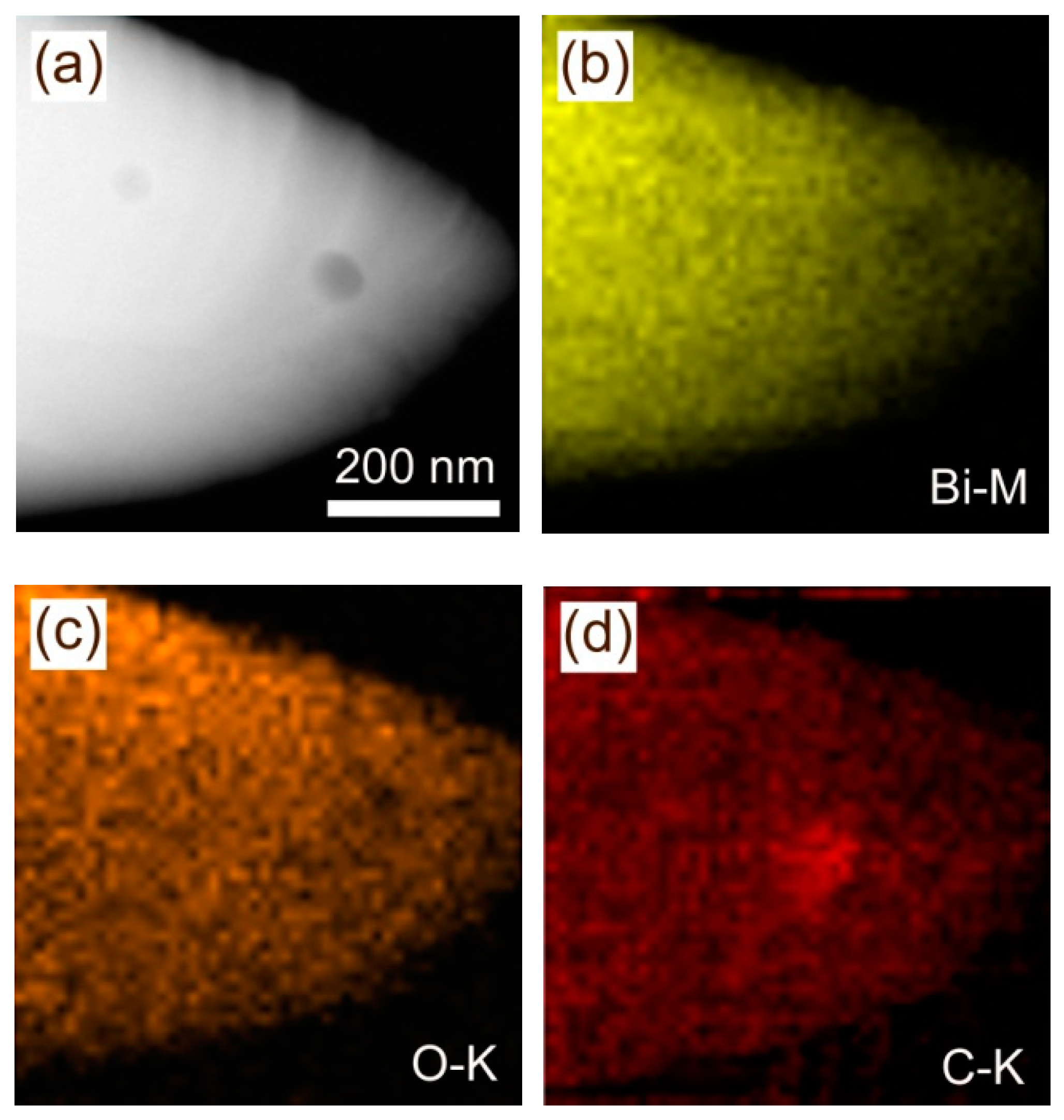 Catalysts 09 01031 g004