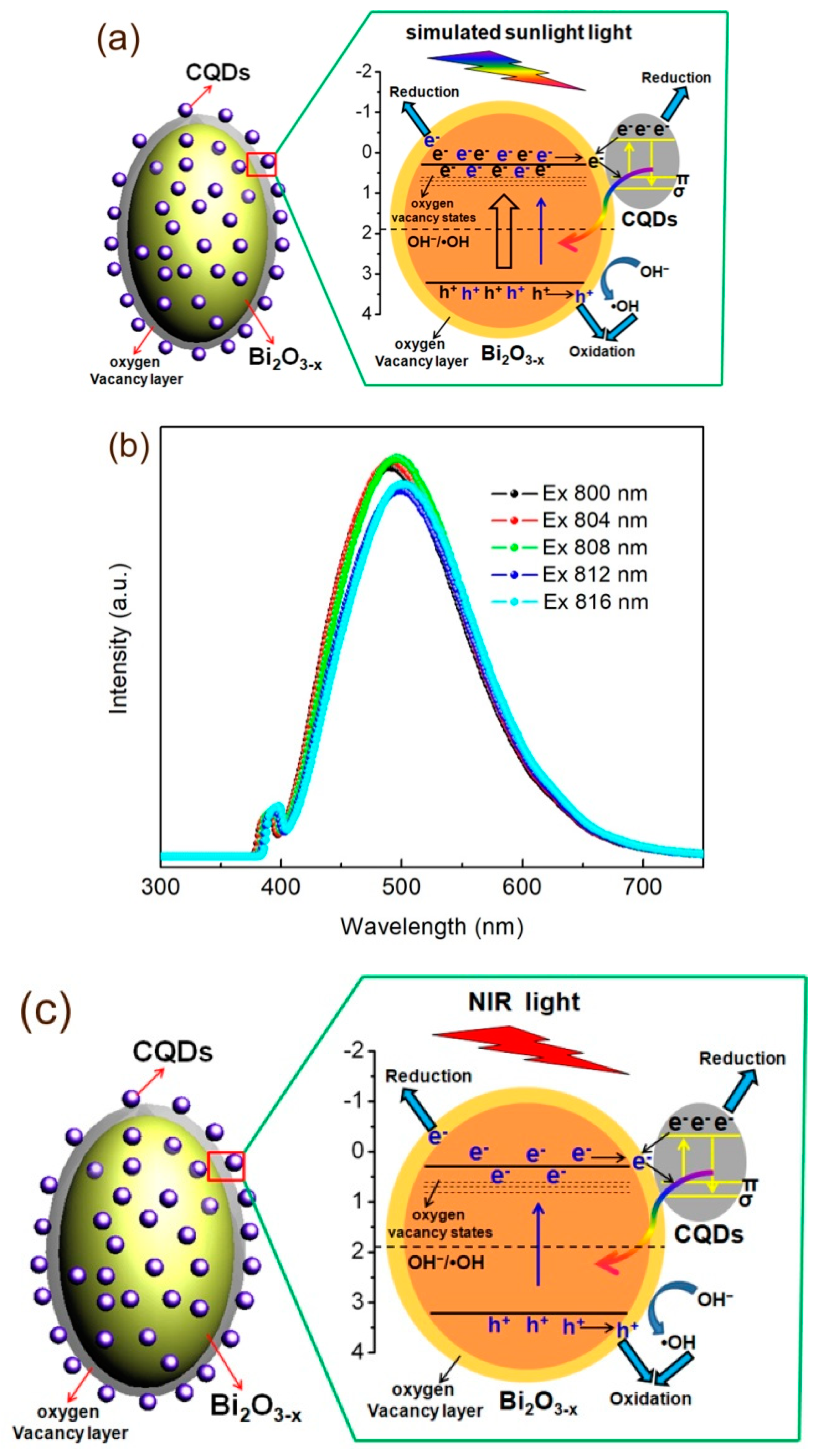 Catalysts 09 01031 g013