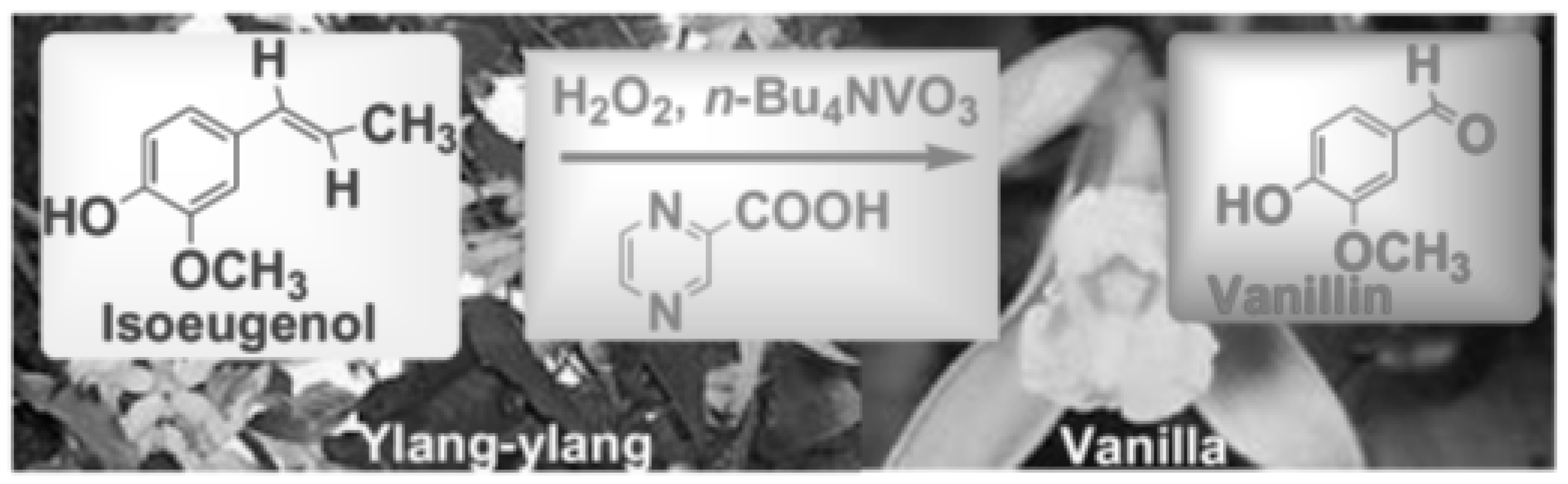 Catalysts 09 01046 sch003 Catalysts 09 01046 sch003