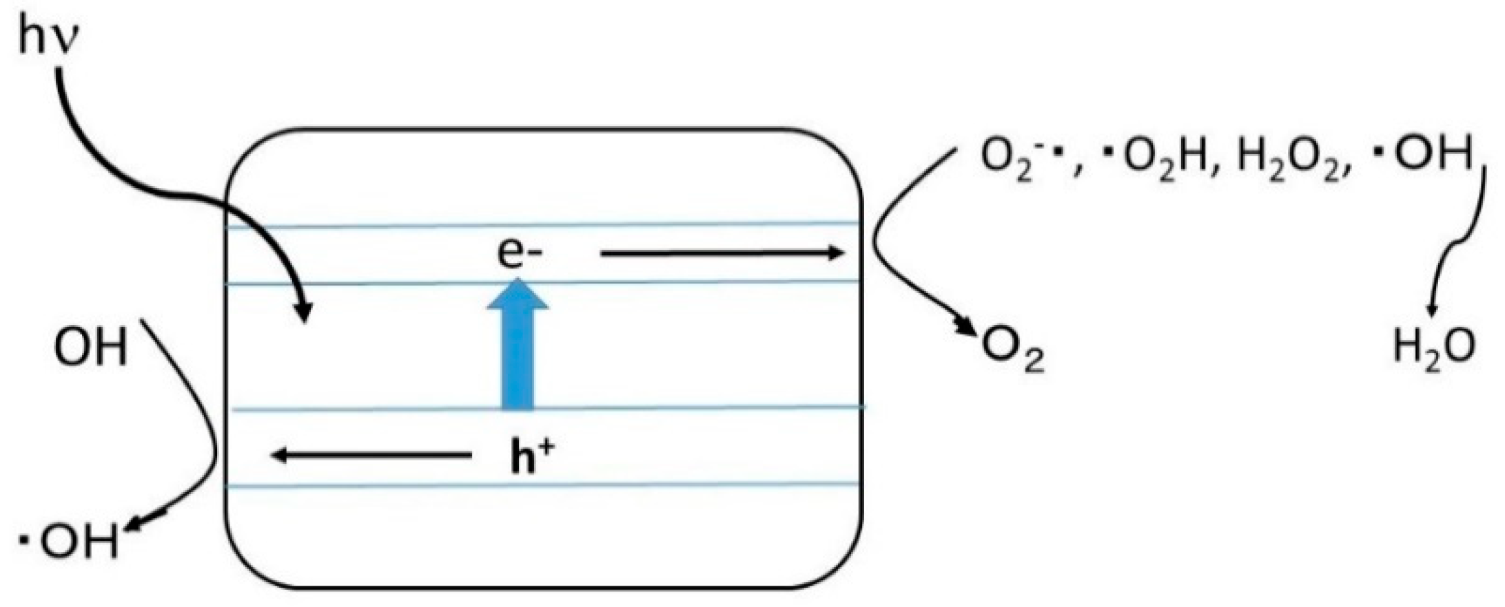Catalysts 09 01049 g006