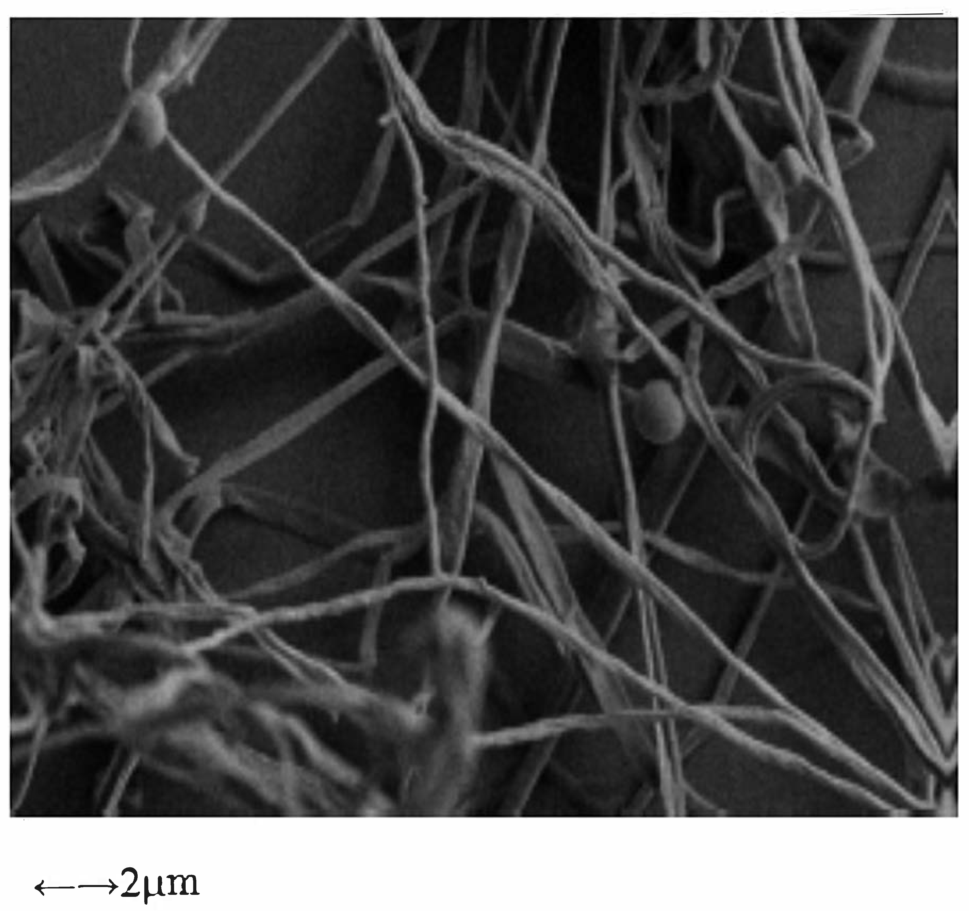 Catalysts 09 01049 g011
