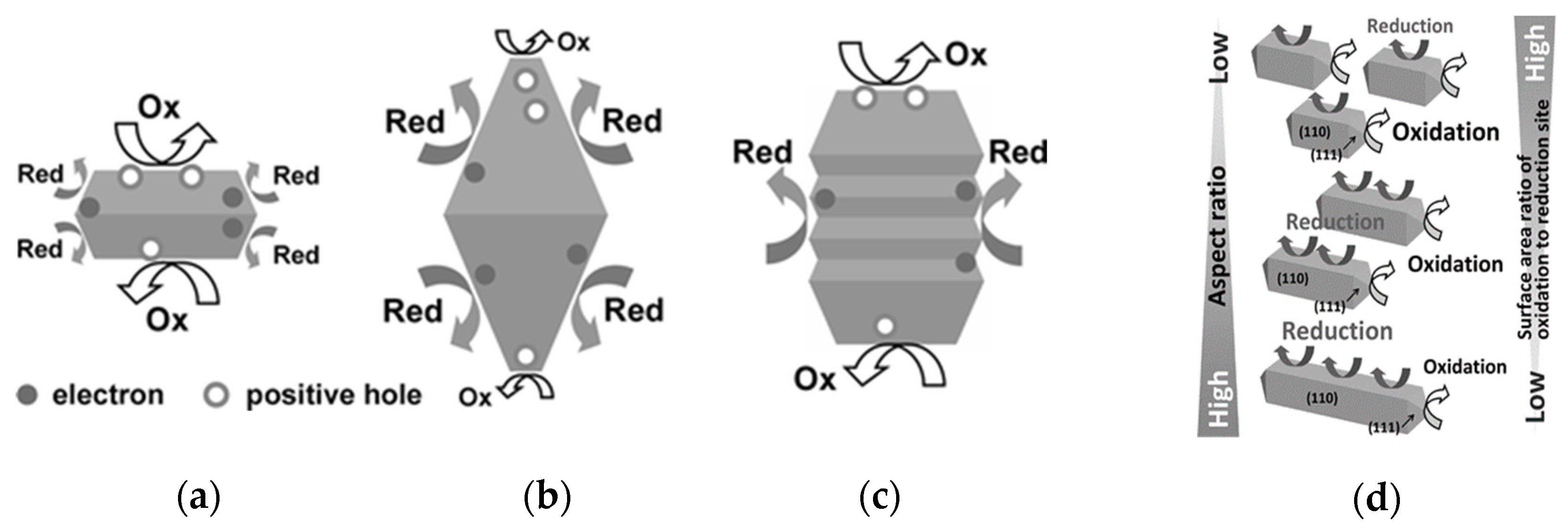 Catalysts 09 01054 g010