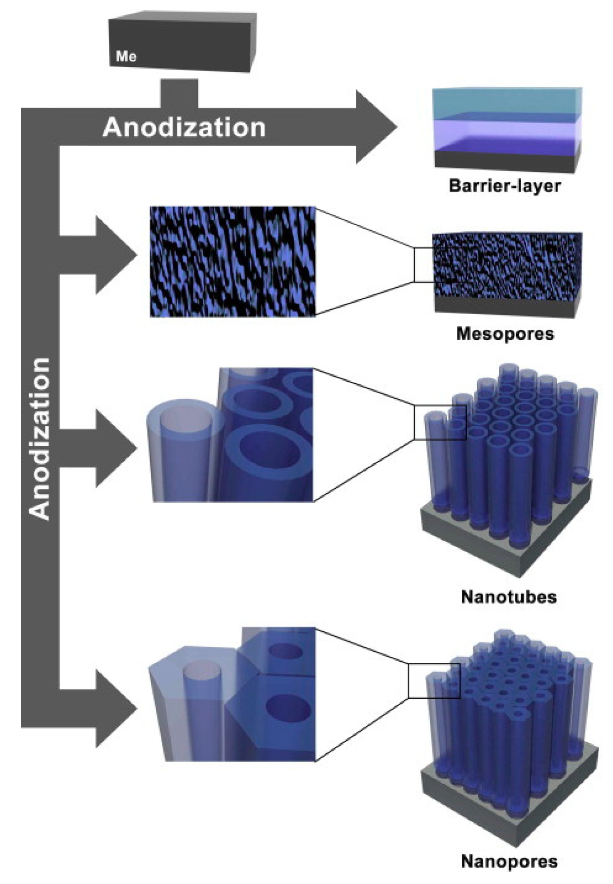 Catalysts 09 01054 g011