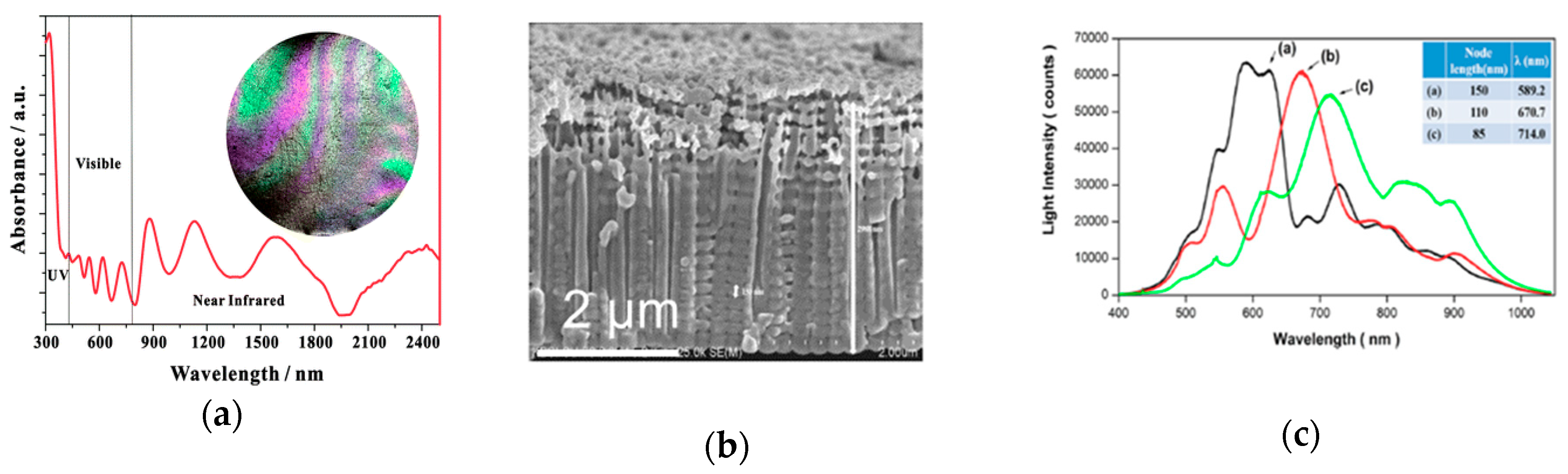 Catalysts 09 01054 g012