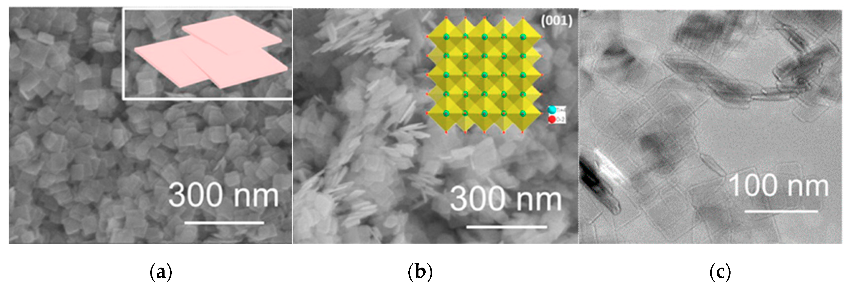 Catalysts 09 01054 g013