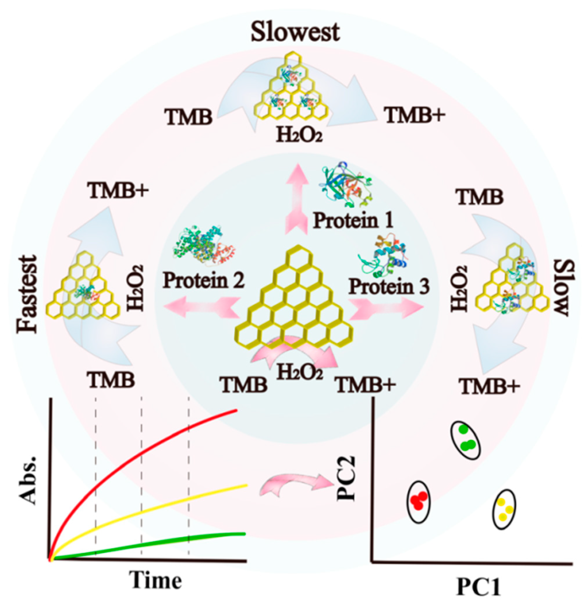Catalysts 09 01057 g007