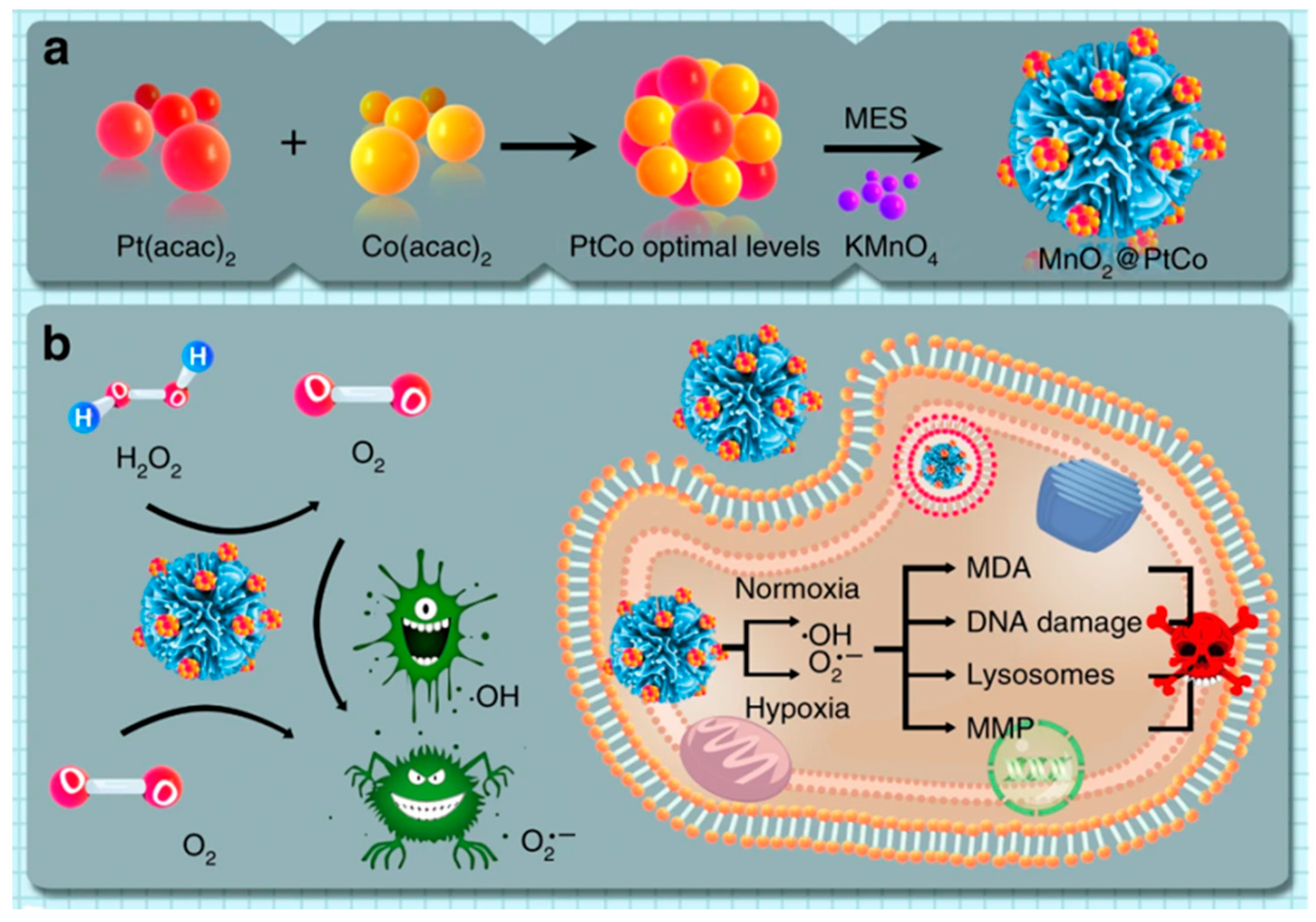 Catalysts 09 01057 g008