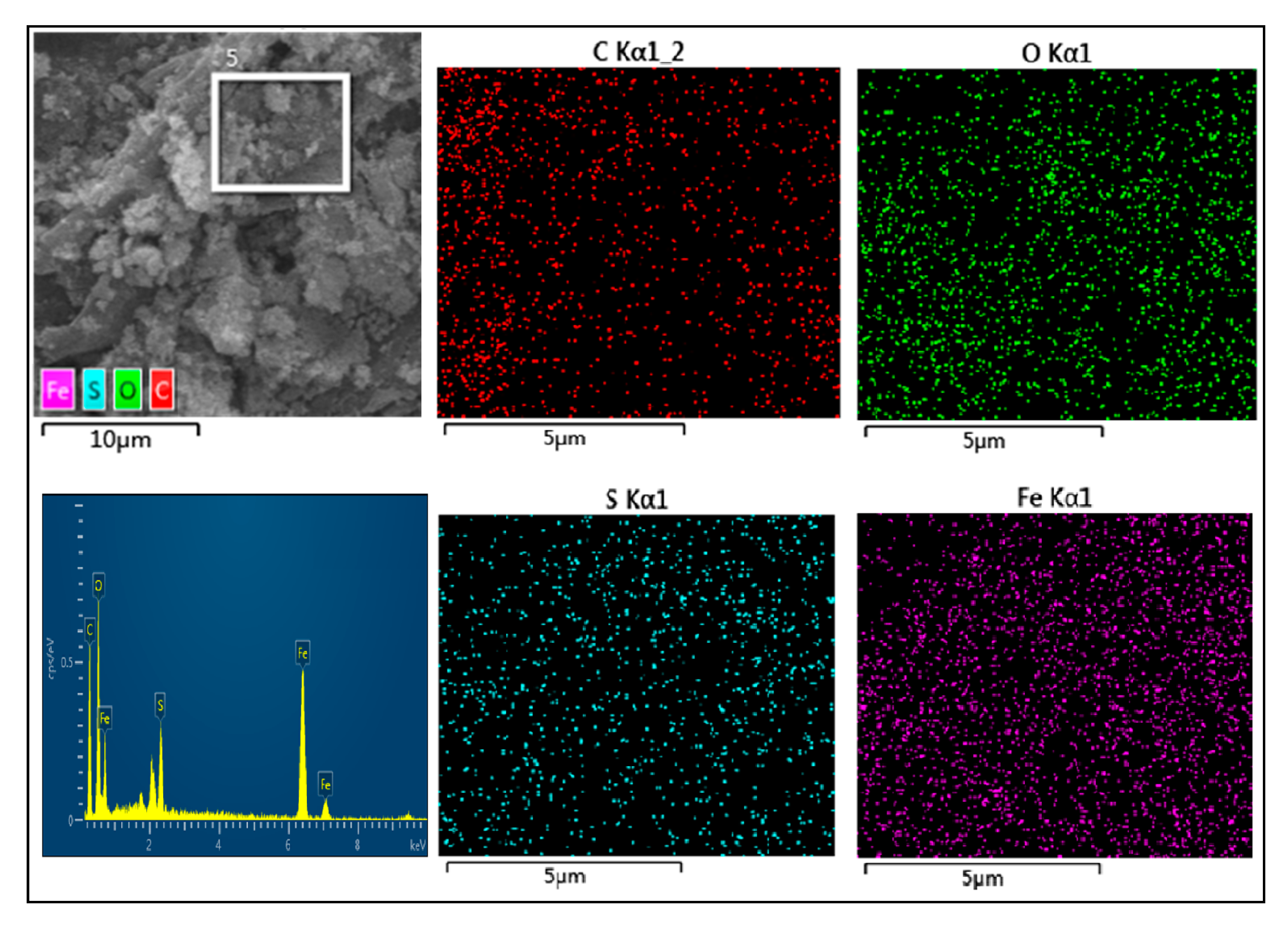 Catalysts 09 01062 g002