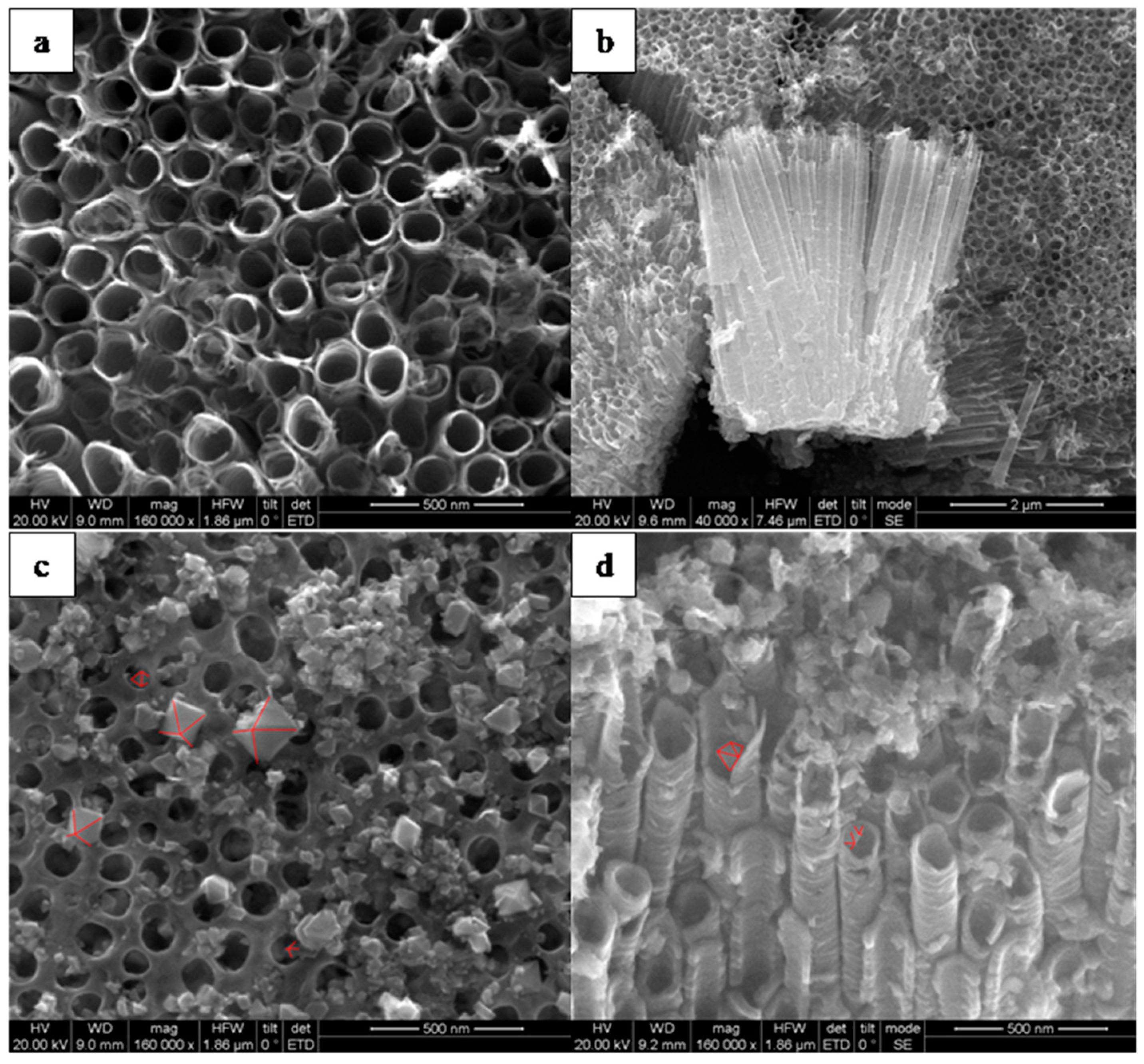 Catalysts 09 01067 g002