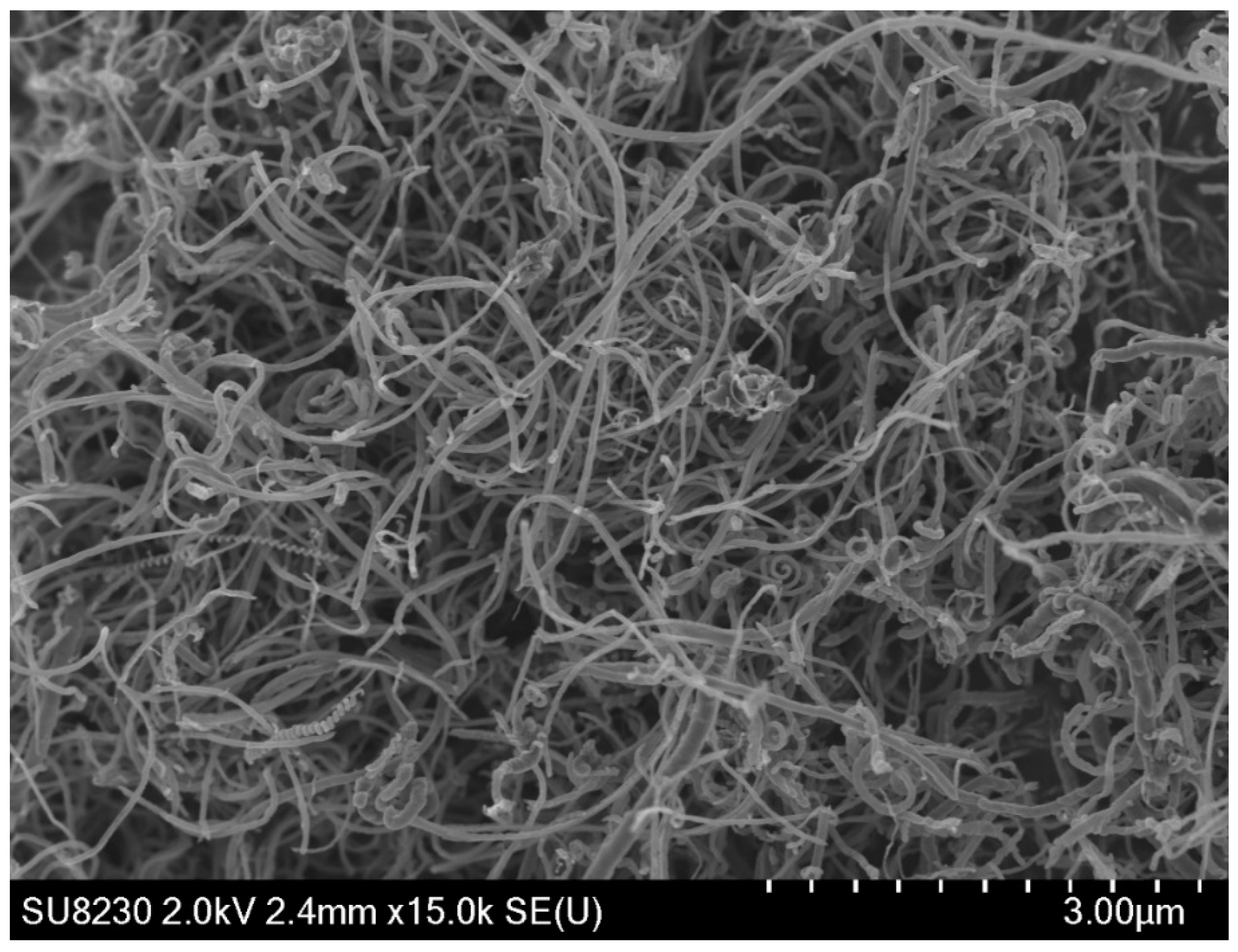 Catalysts 09 01069 g012