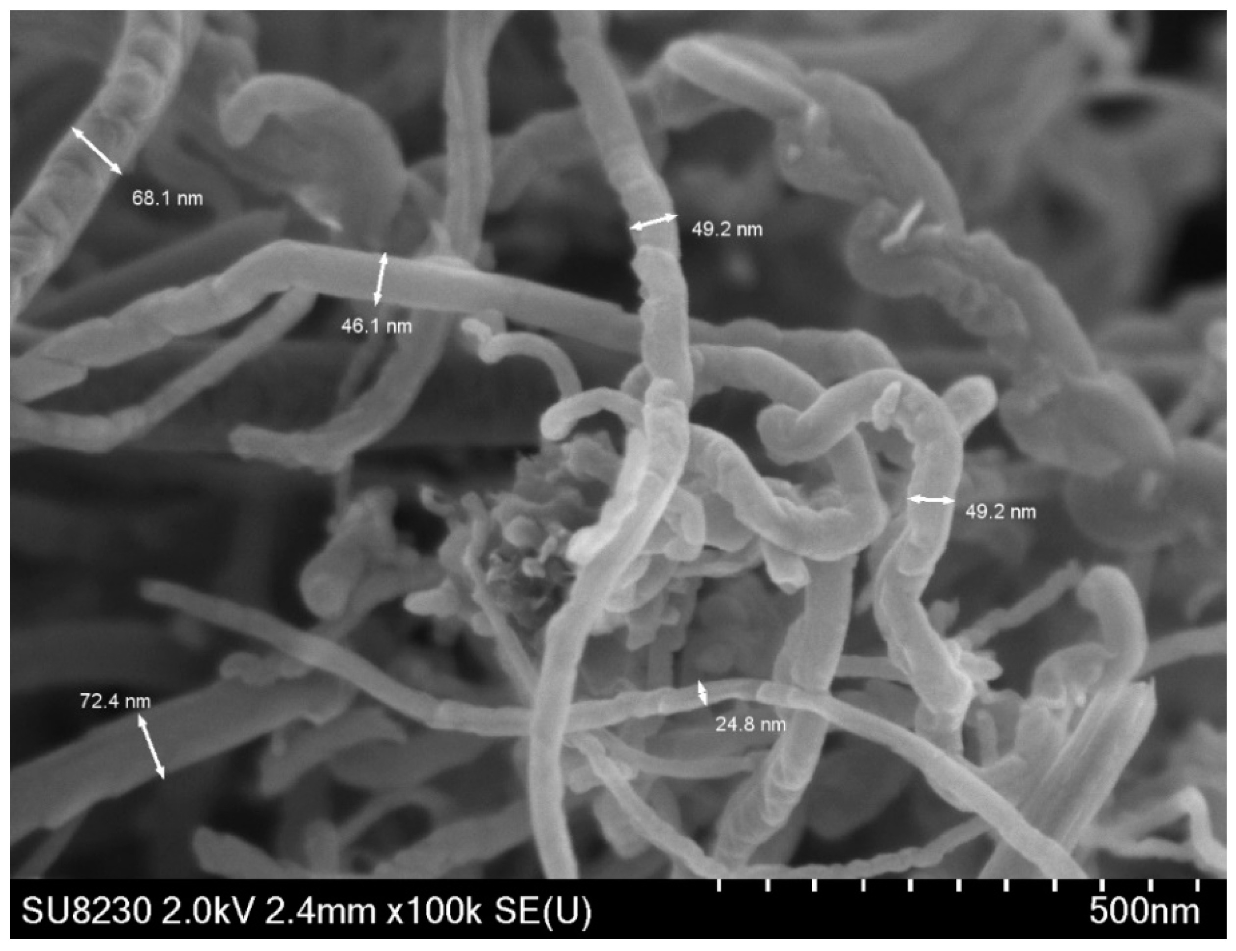 Catalysts 09 01069 g019