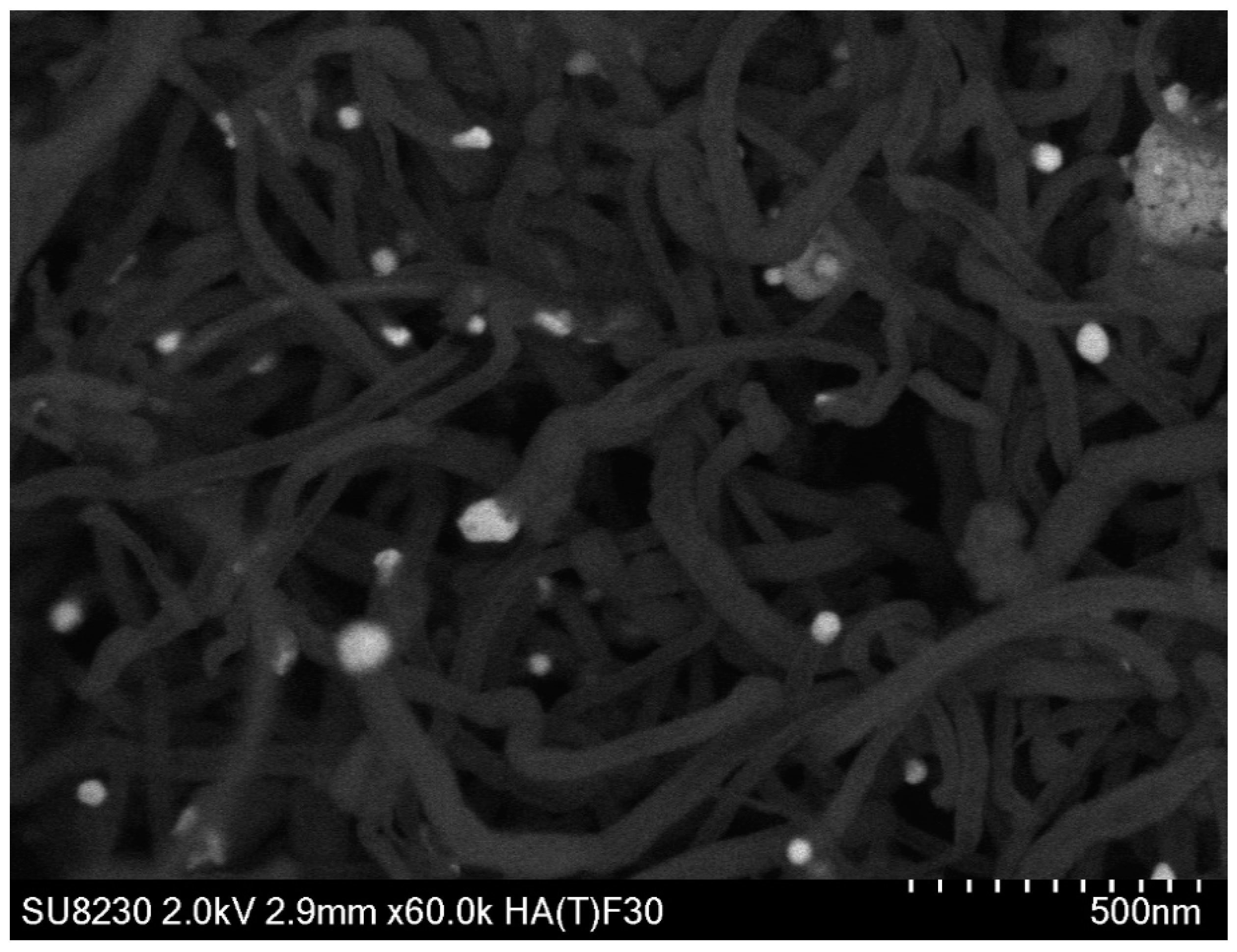 Catalysts 09 01069 g020