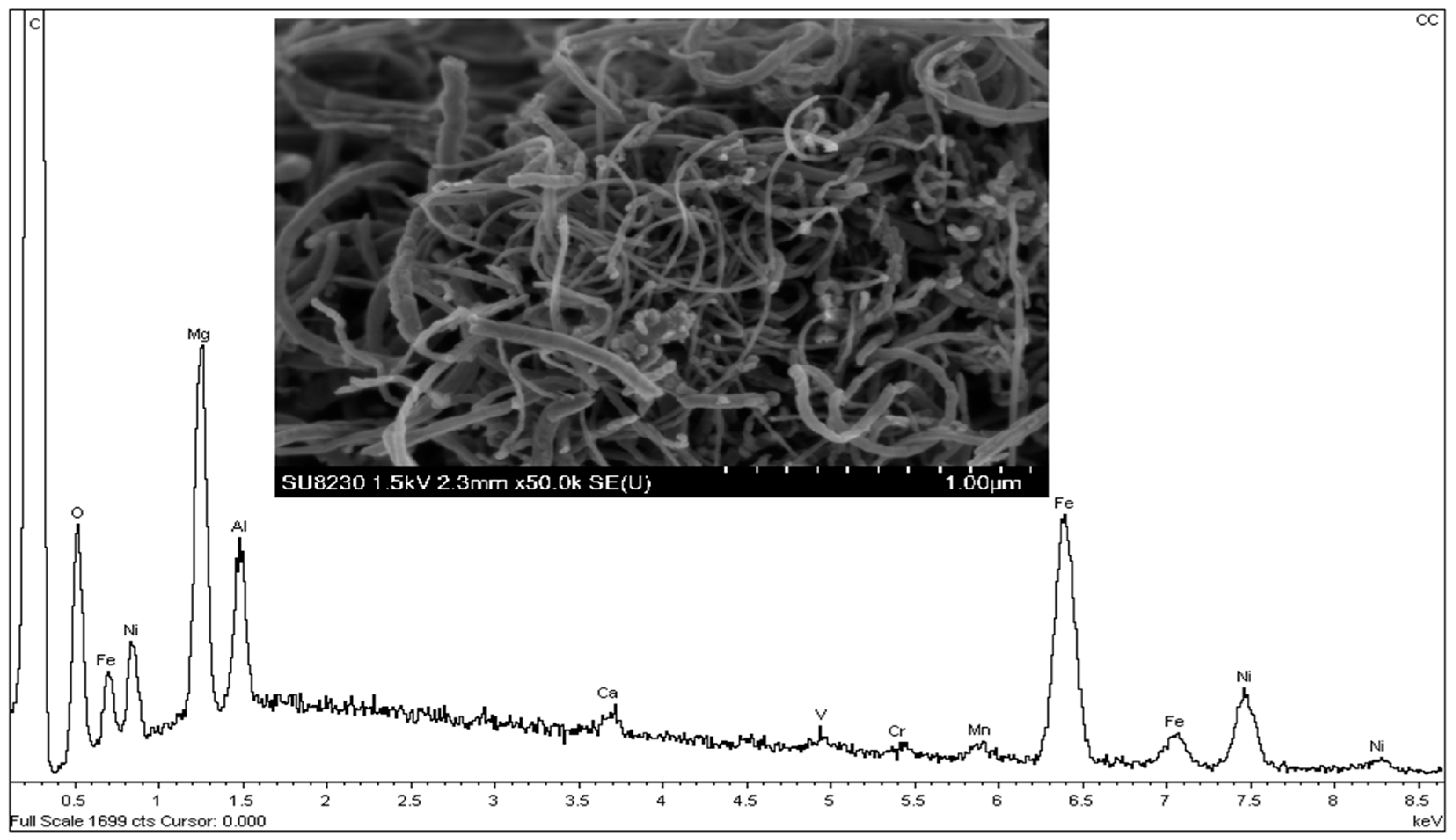 Catalysts 09 01069 g022