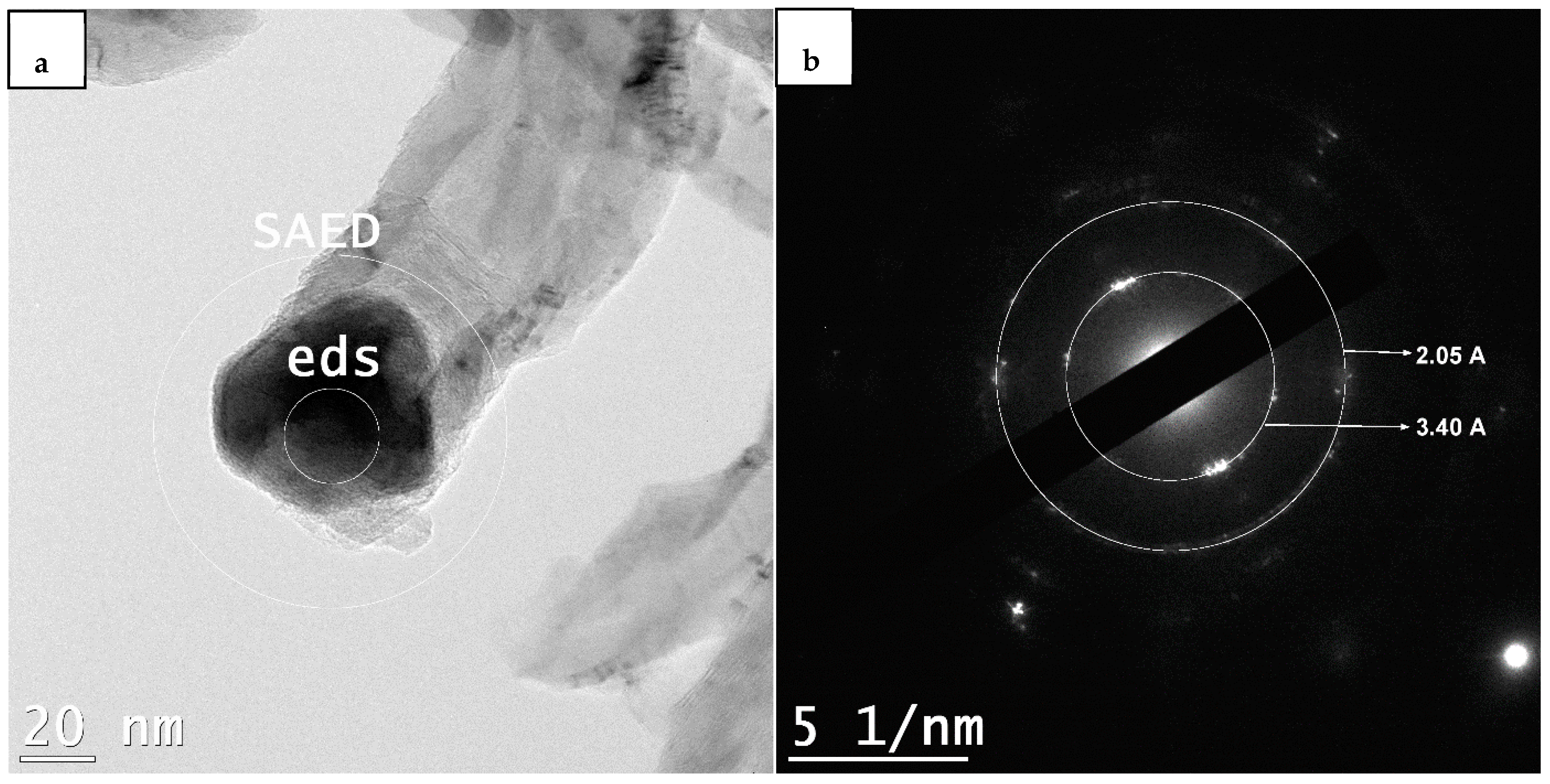 Catalysts 09 01069 g025