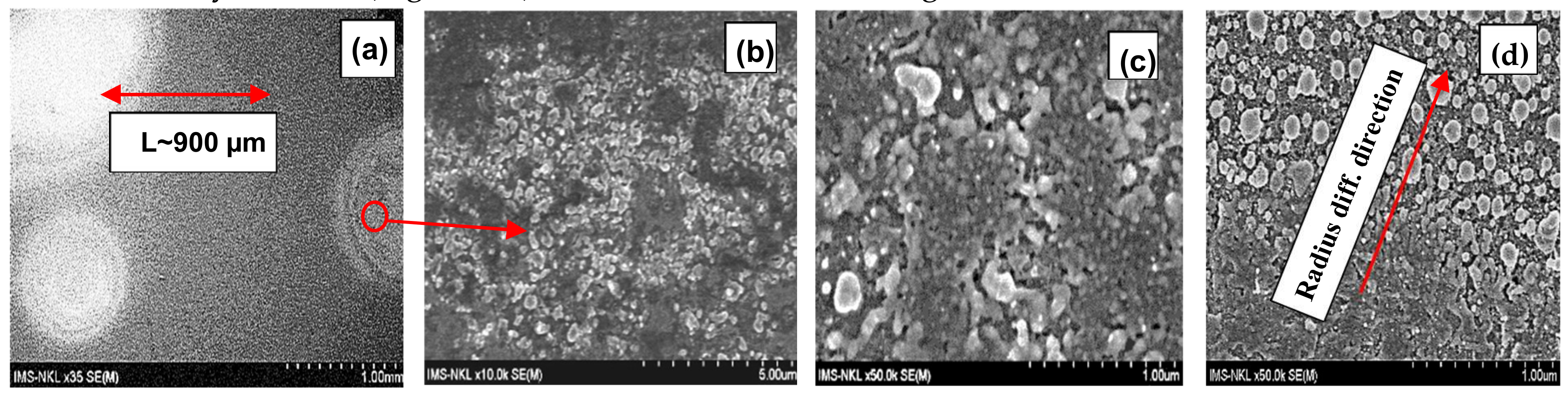 Catalysts 09 01072 g001