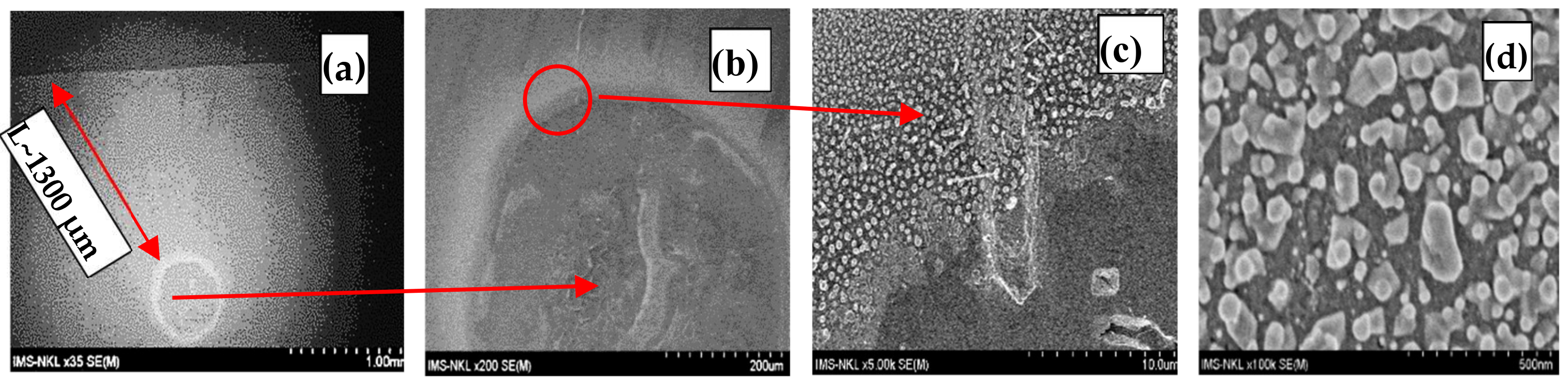 Catalysts 09 01072 g002