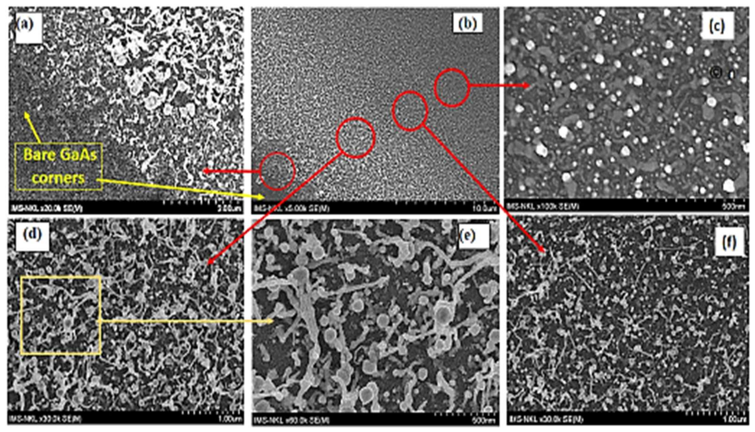 Catalysts 09 01072 g003
