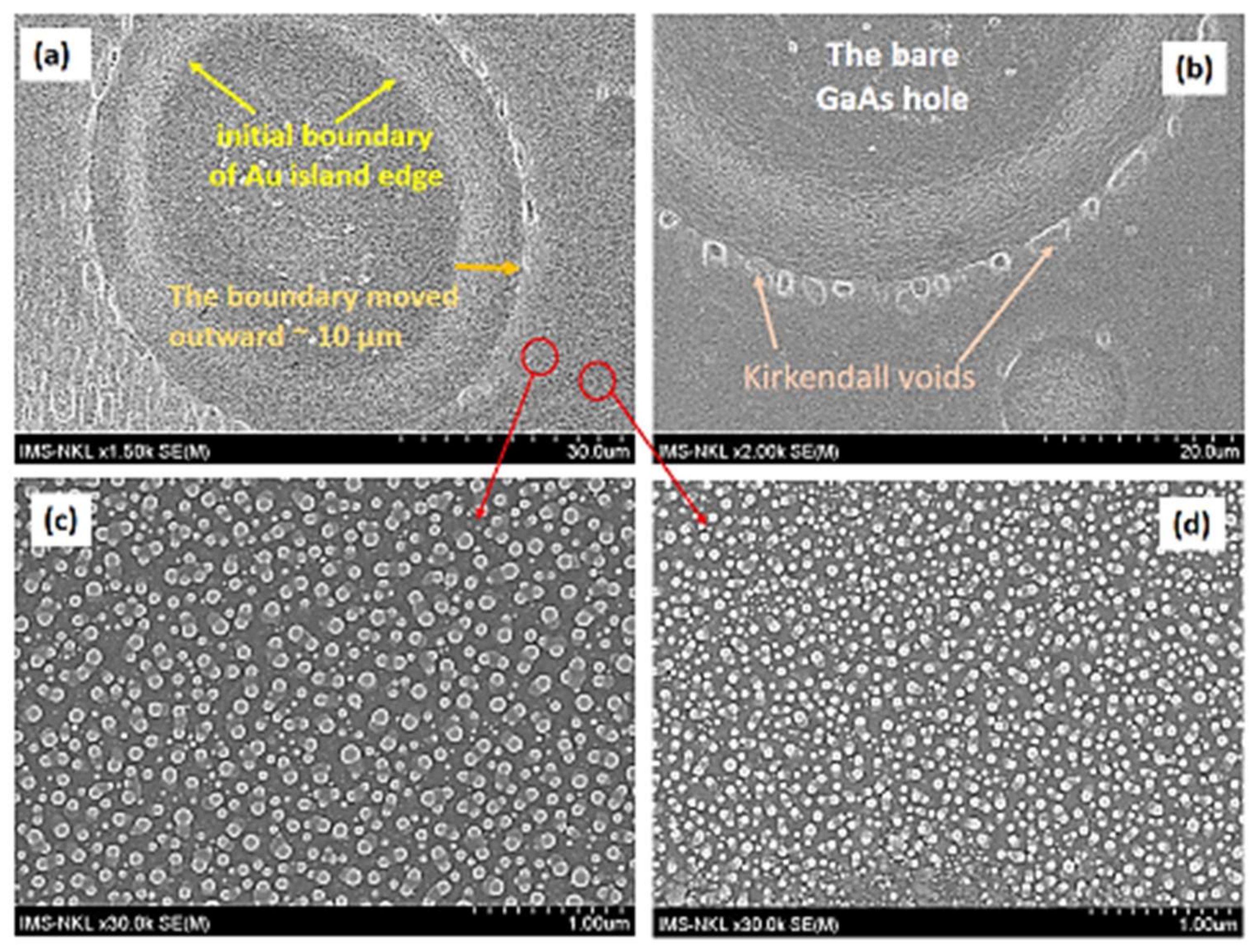 Catalysts 09 01072 g004