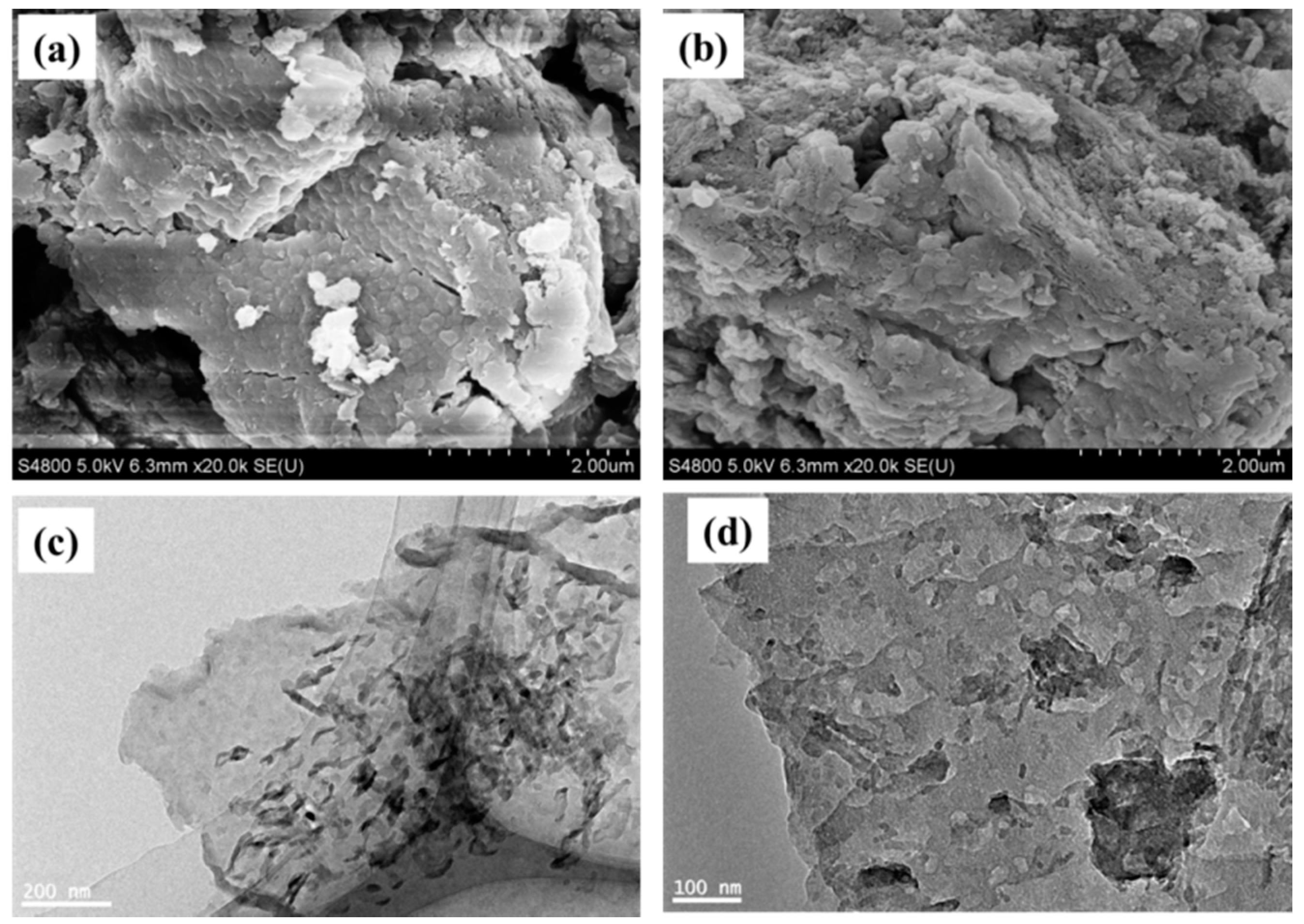 Catalysts 10 00006 g002 Catalysts 10 00006 g002