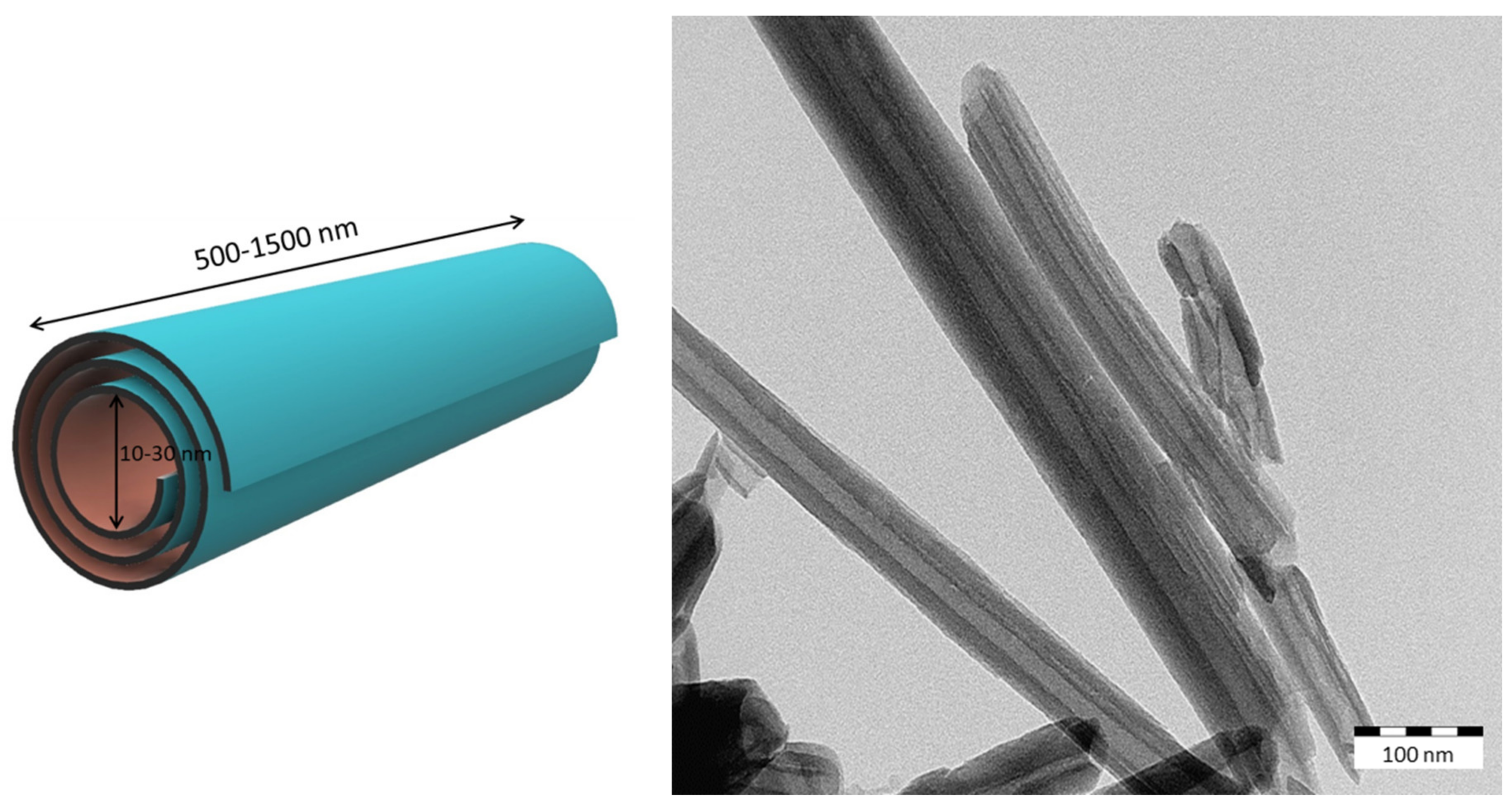 Catalysts 10 00007 g001