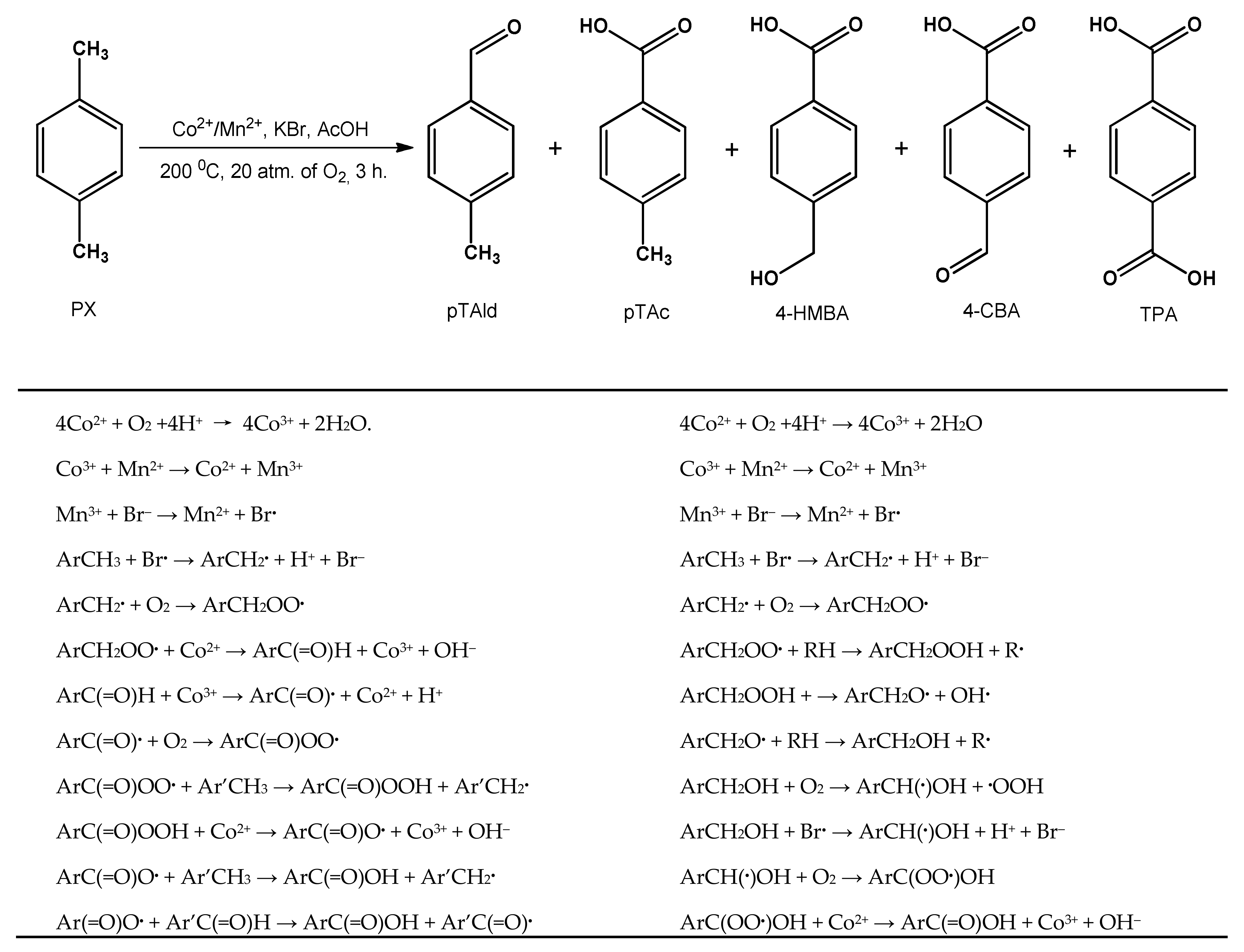 Catalysts 10 00007 sch003