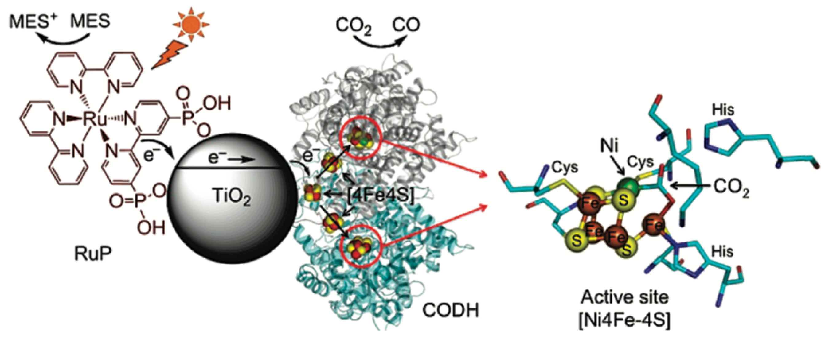 Catalysts 10 00009 g006 Catalysts 10 00009 g006