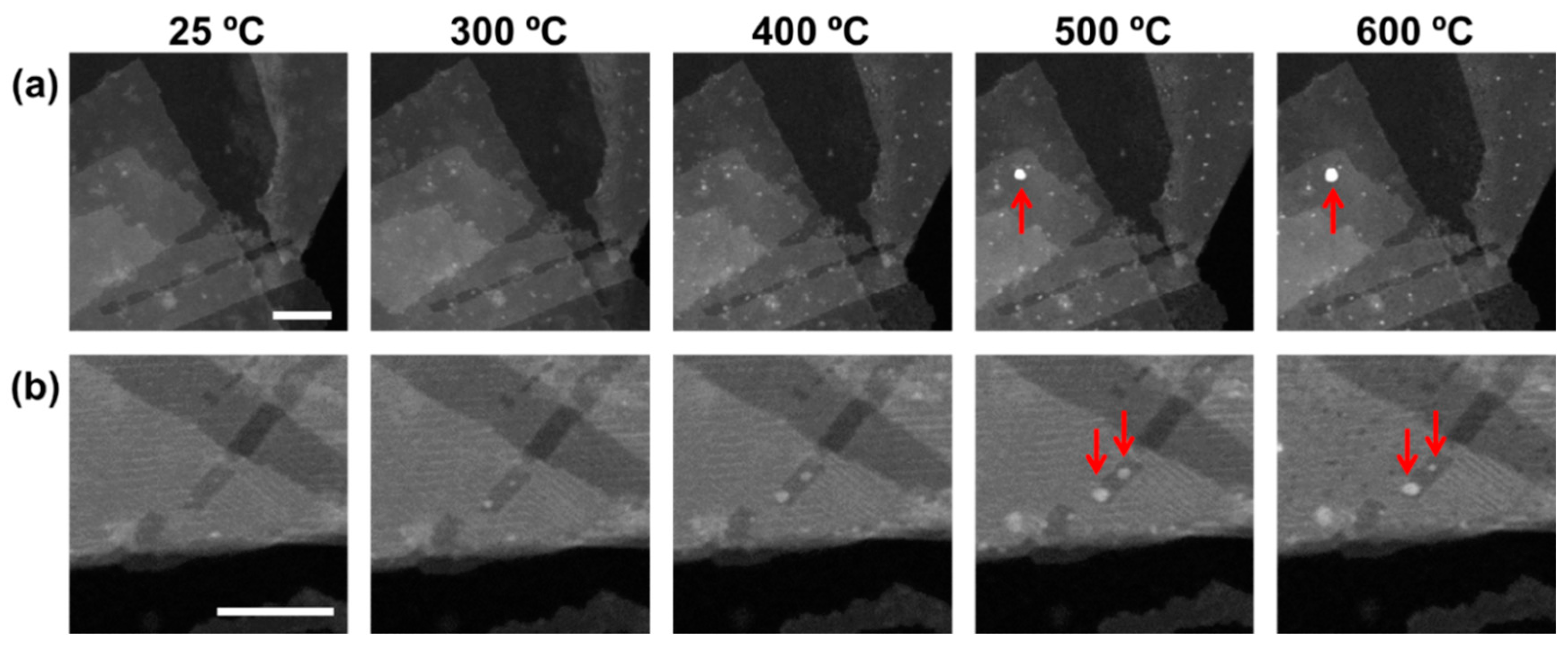 Catalysts 10 00013 g003