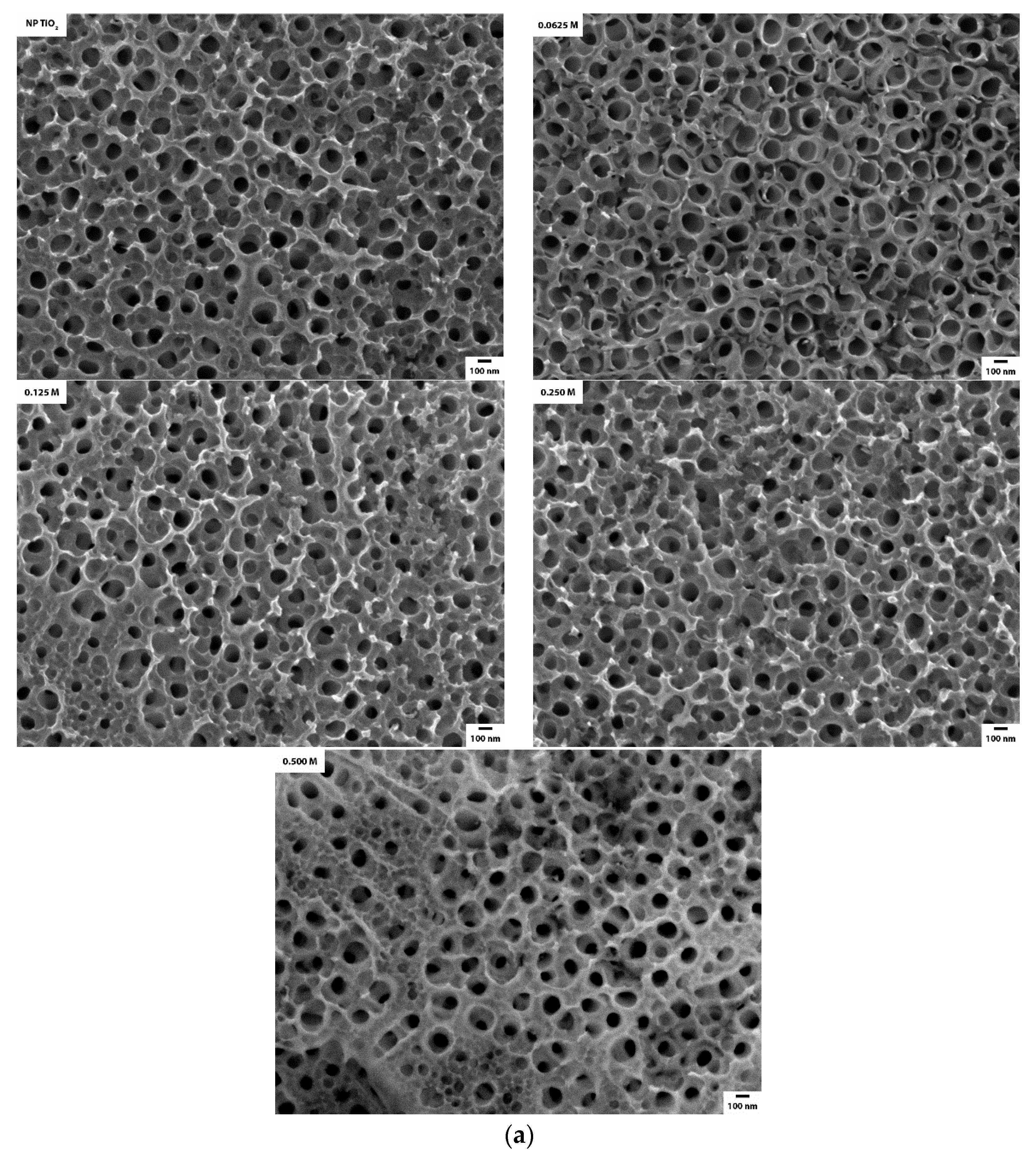 Catalysts 10 00019 g007a Catalysts 10 00019 g007a