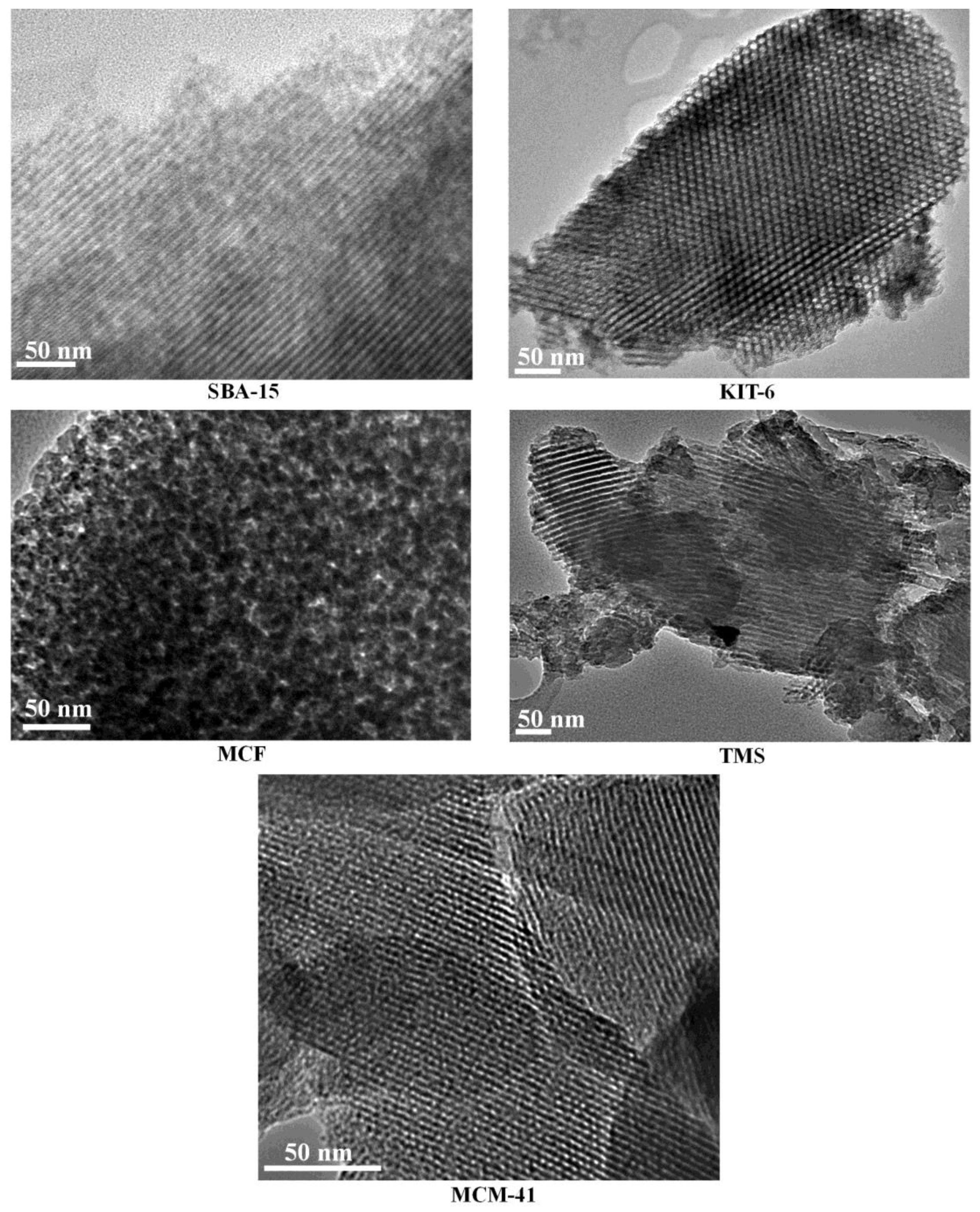 Catalysts 10 00051 g007 Catalysts 10 00051 g007