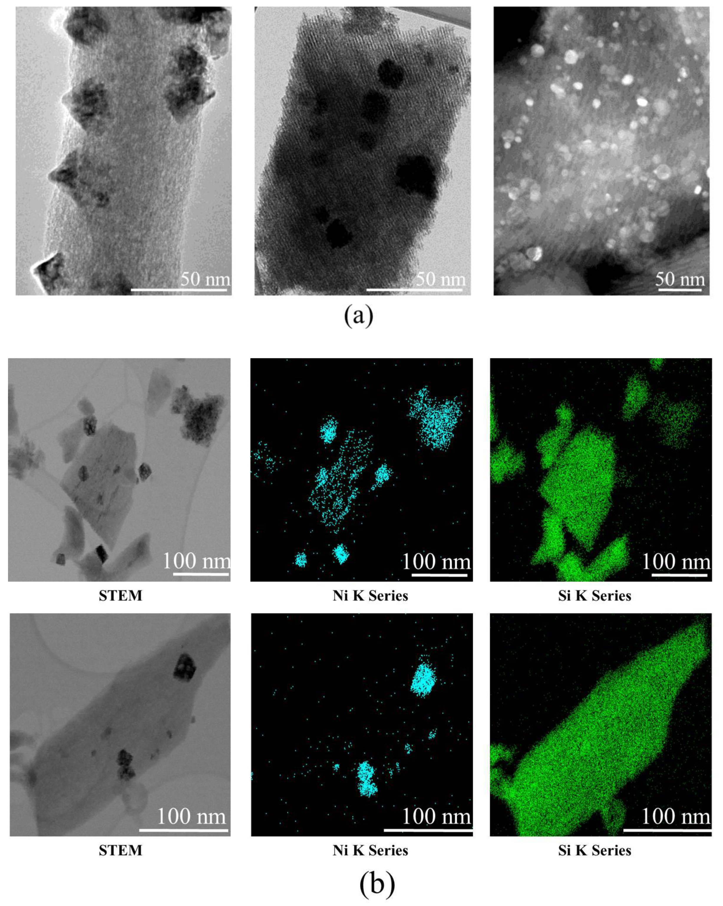 Catalysts 10 00051 g010 Catalysts 10 00051 g010
