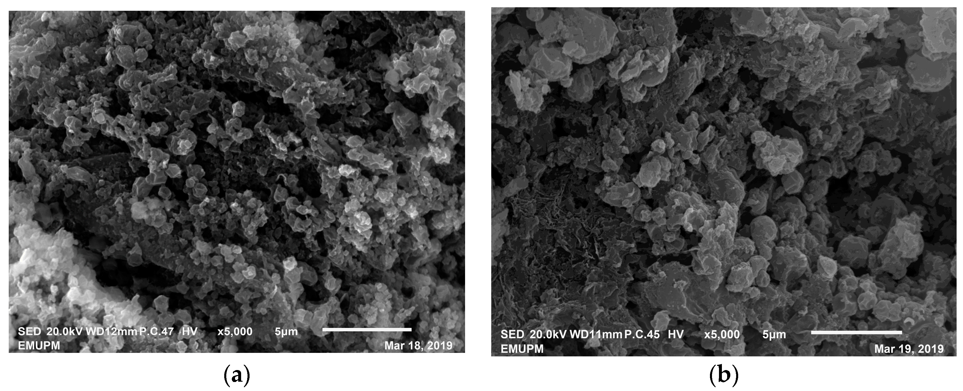 Catalysts 10 00055 g008 Catalysts 10 00055 g008