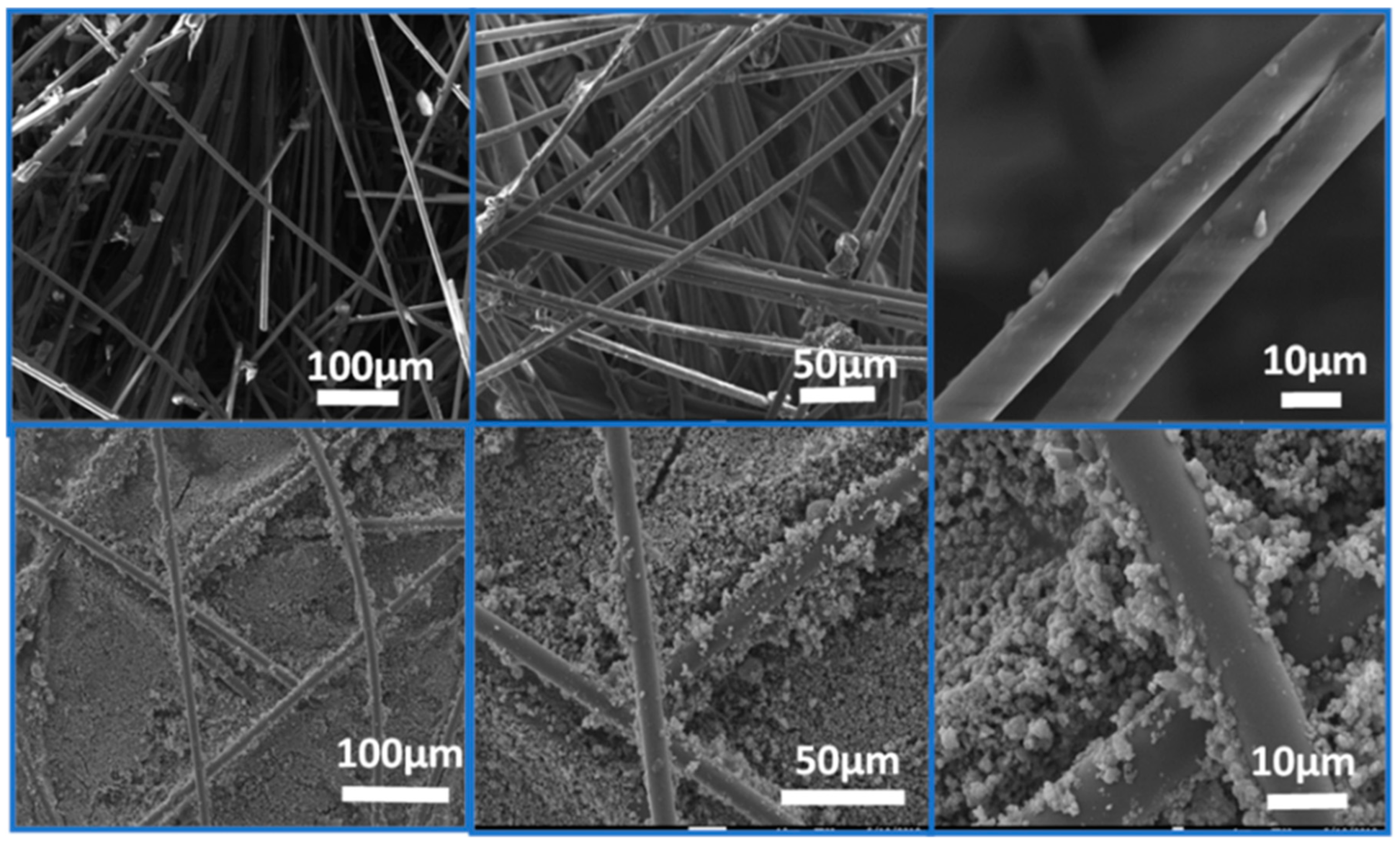 Catalysts 10 00069 g001
