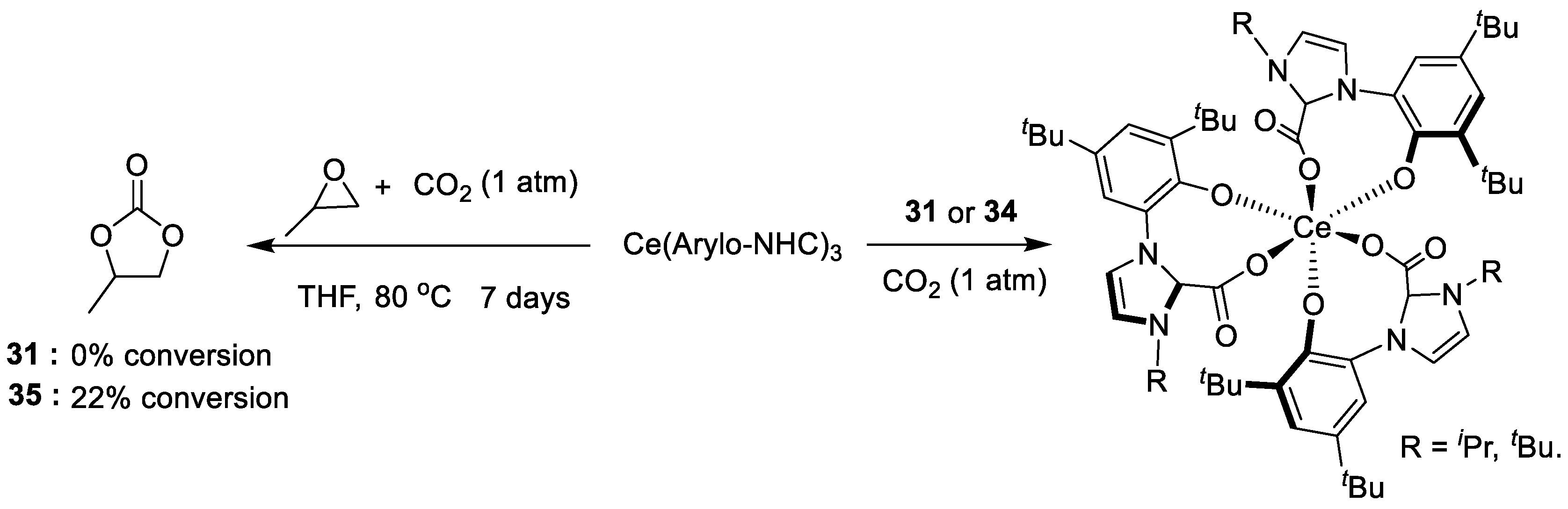 Catalysts 10 00071 g010