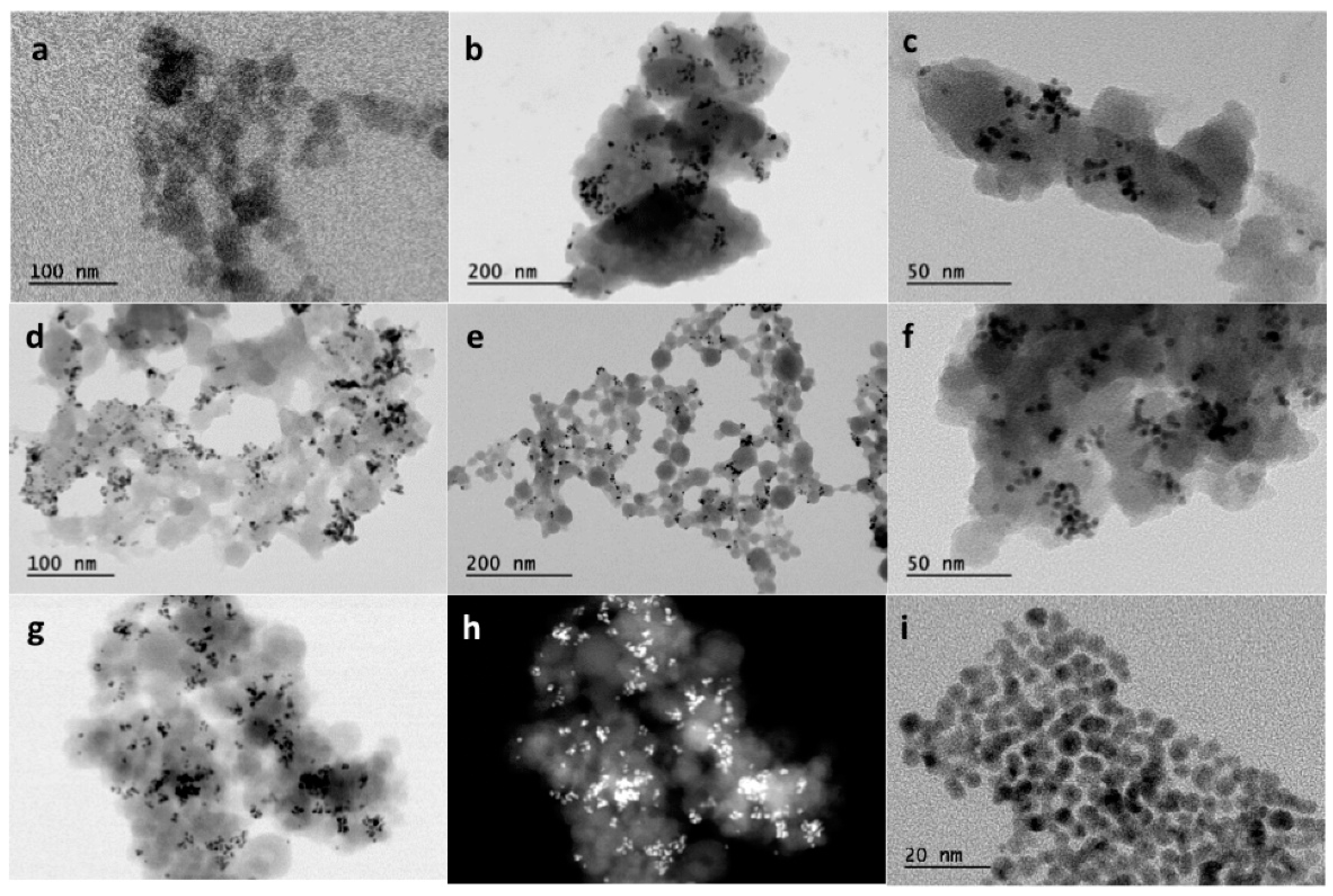 Catalysts 10 00075 g002 Catalysts 10 00075 g002