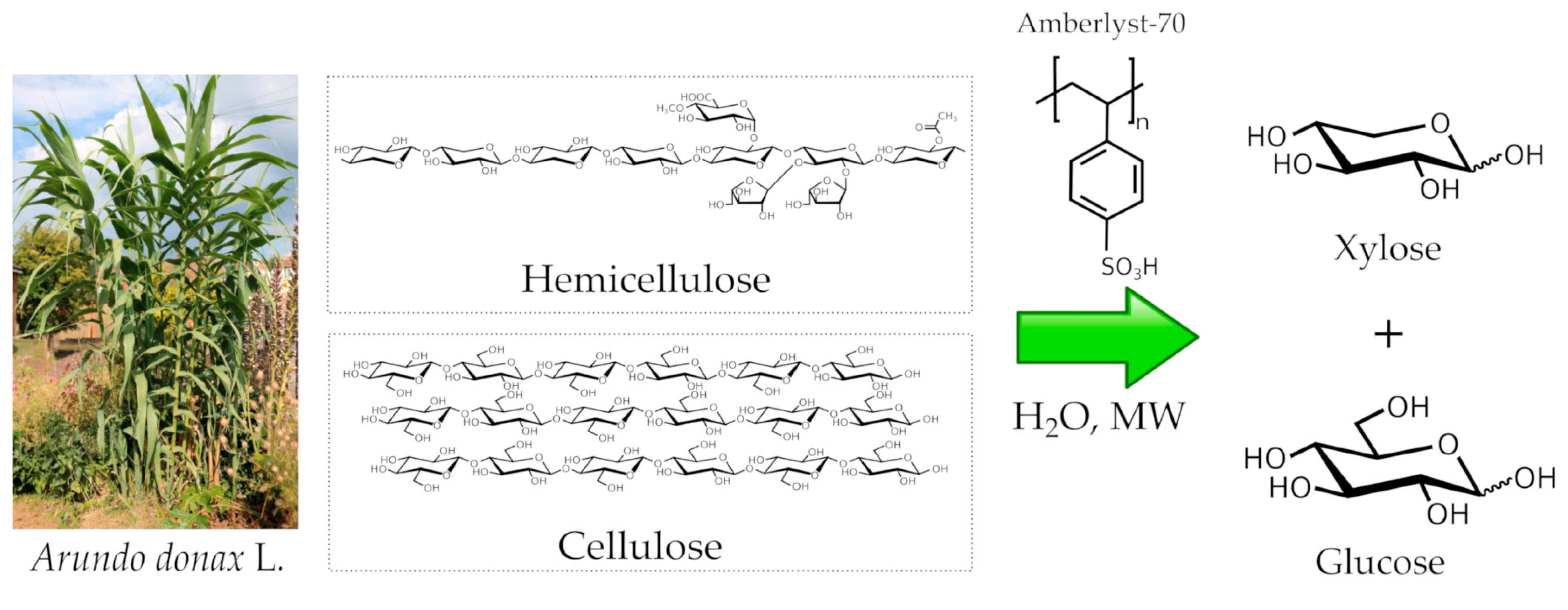 Catalysts 10 00079 g001