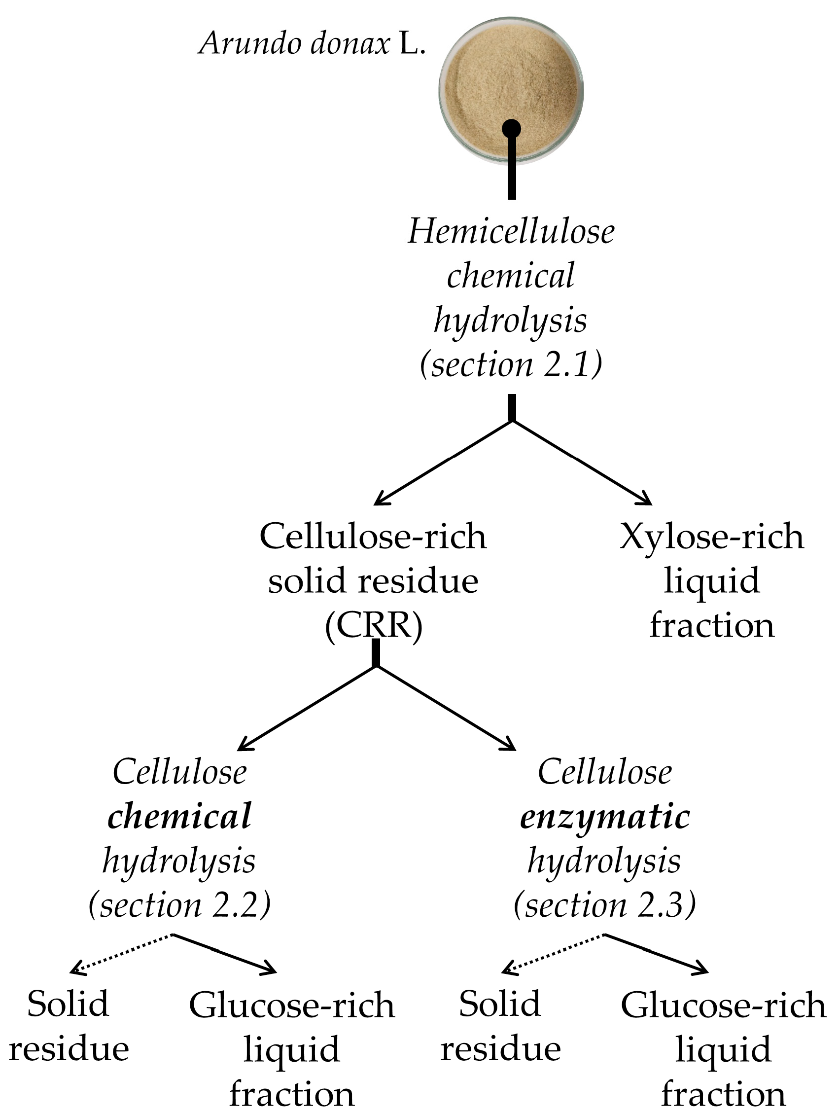 Catalysts 10 00079 g002