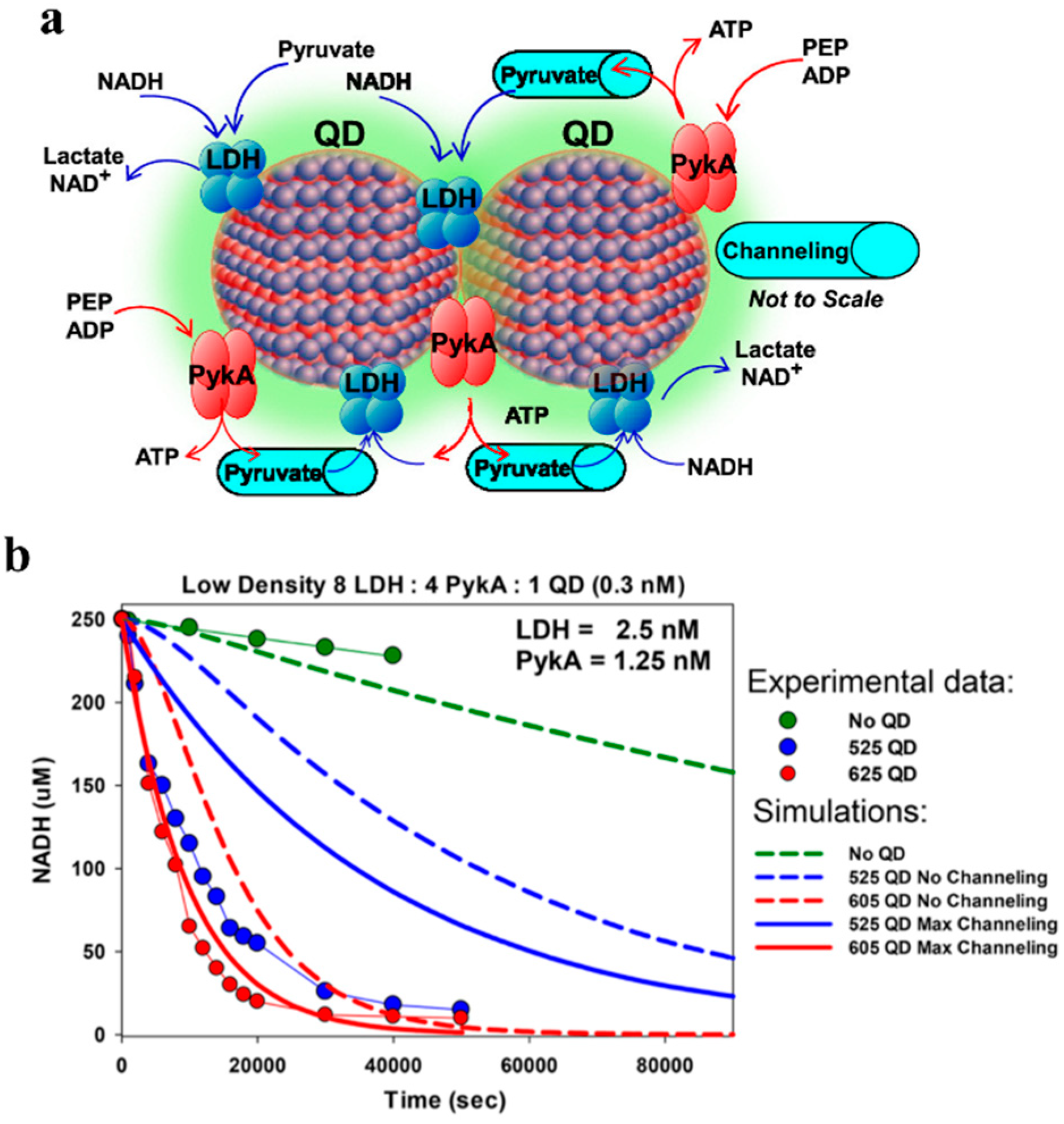 Catalysts 10 00083 g008 Catalysts 10 00083 g008